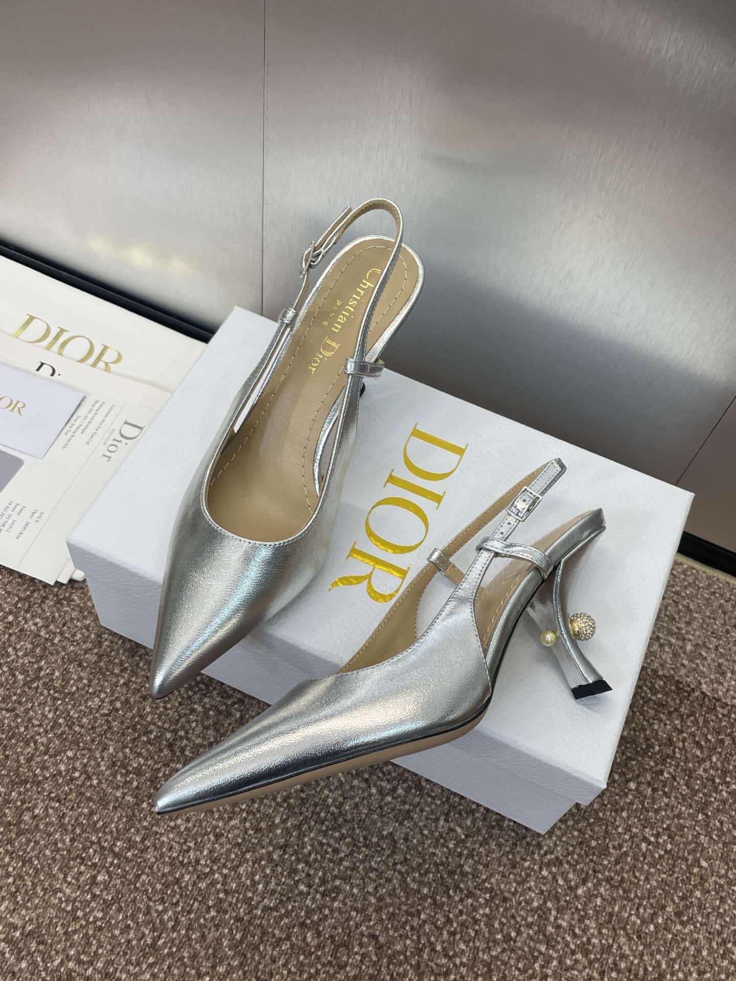 Dior Tribales Slingback Pump Shoes Women