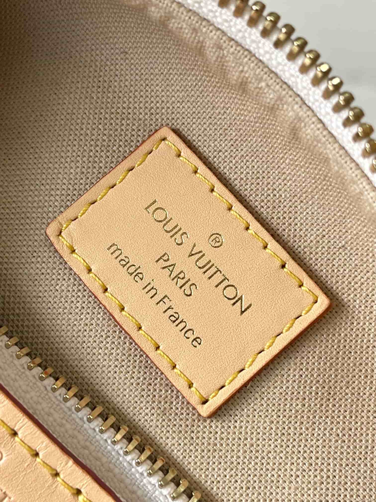 Louis Vuitton Hills Pochette Mastic Polyamide M12433 TOP