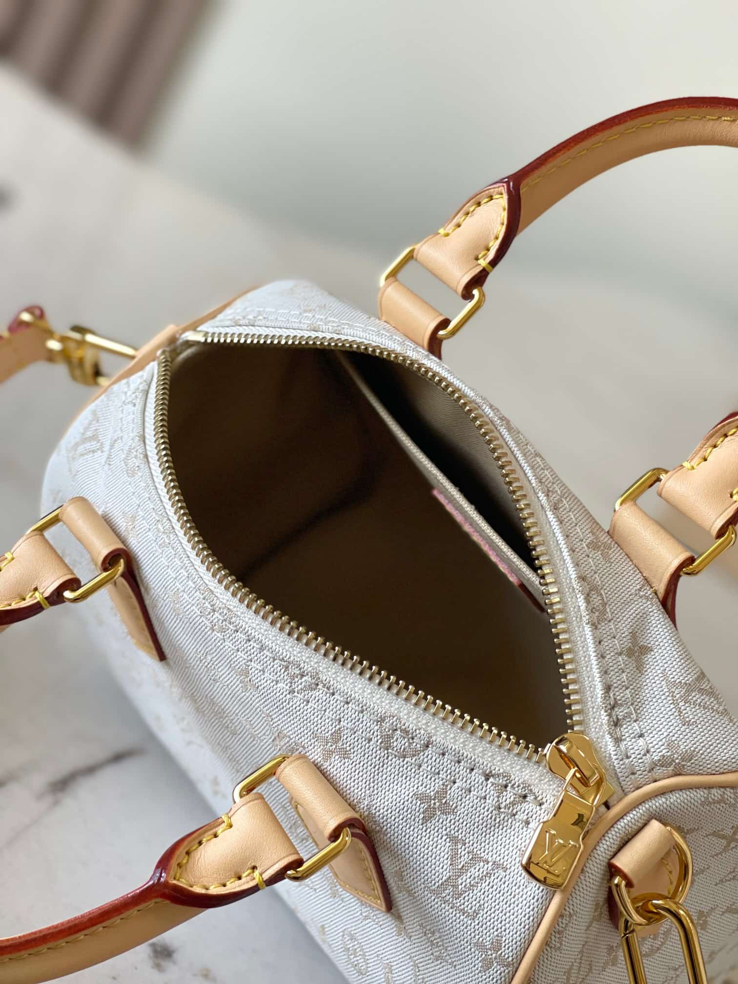 Louis Vuitton Speedy Bandoulière 20 Mastic Cream Polyamide M12747 TOP