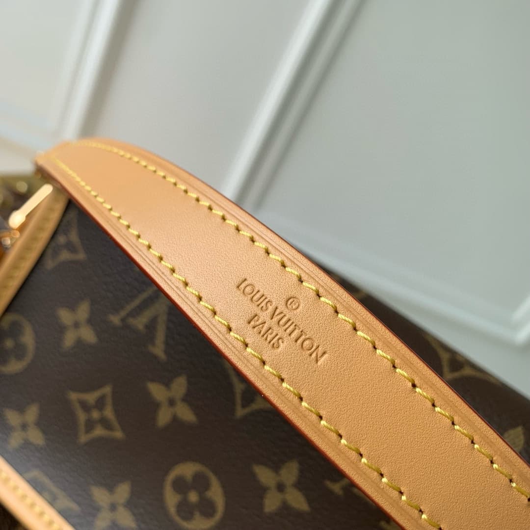 Louis Vuitton Nano Diane Monogram coated canvas M83298 High