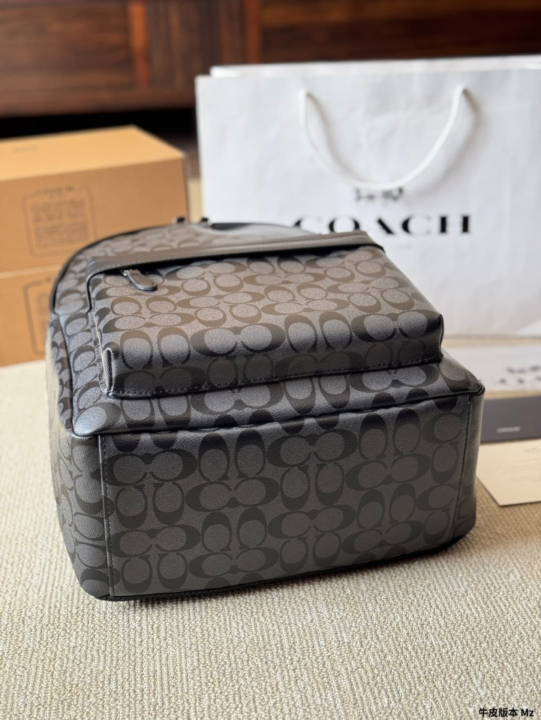 Coach Charles Backpack In Signature Canvas