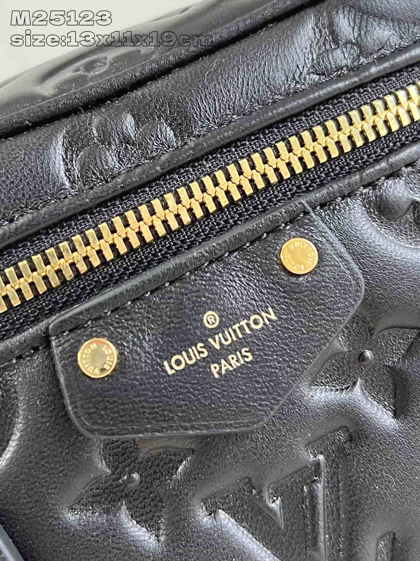 Louis Vuitton Vanity PM Black Puffy lambskin M25123 High