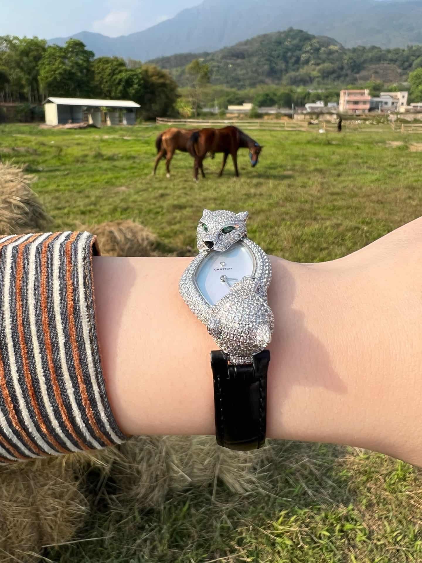 Cartier Panthère Crash Jewelry Watch TOP