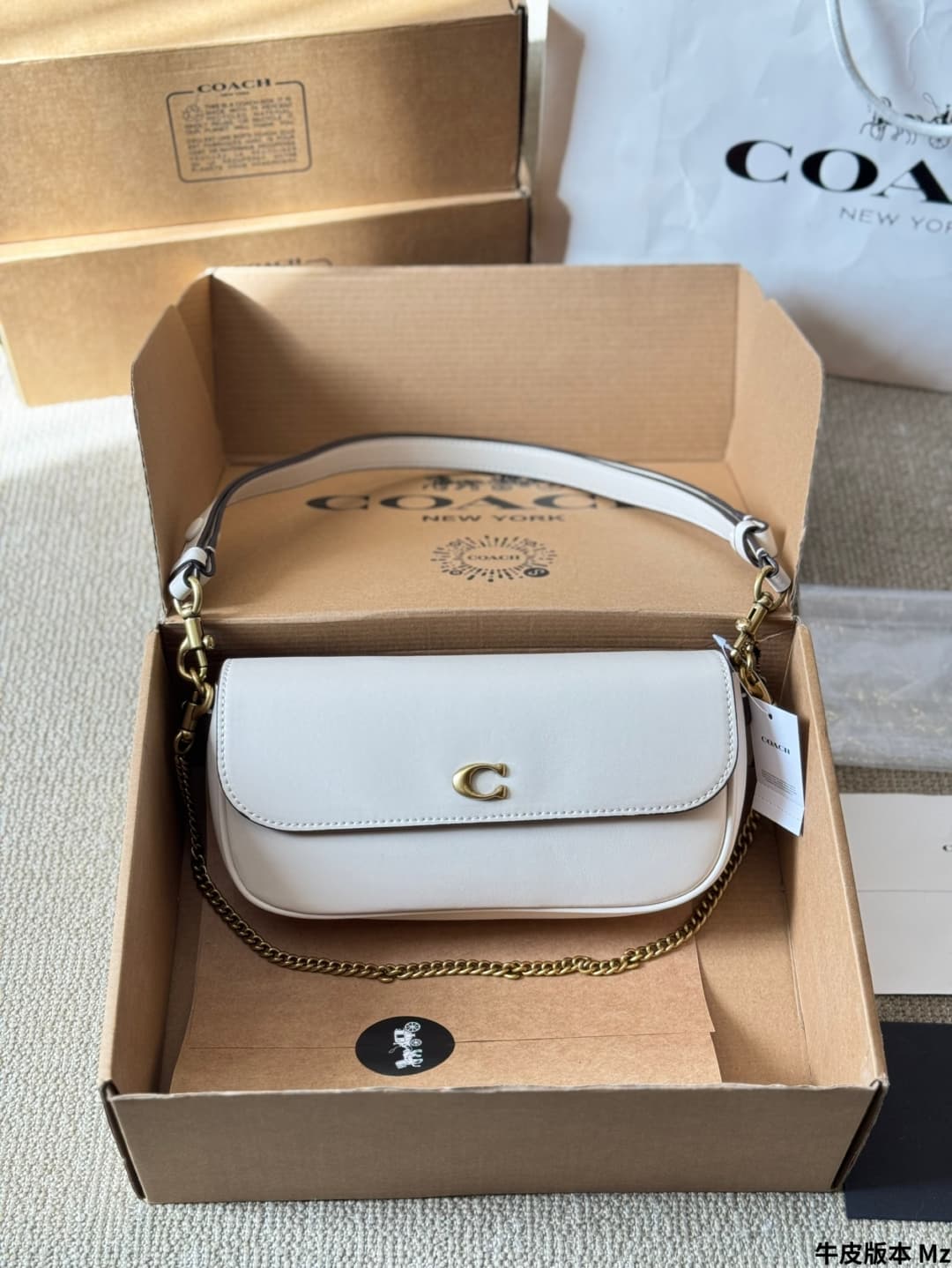 Coach Brook Flap Chain Bag