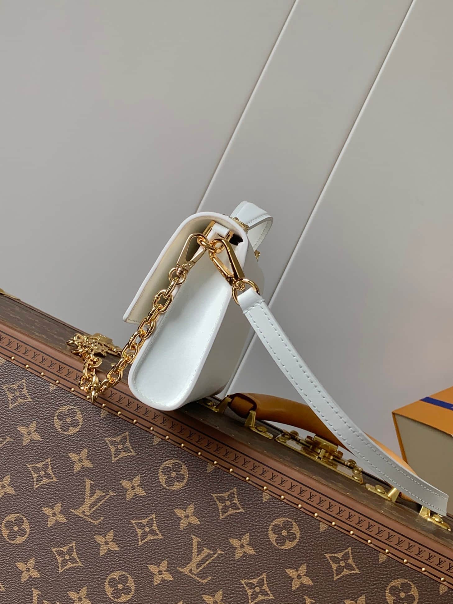 Louis Vuitton Wallet On Chain Capucines Snow Calf leather M12265 High