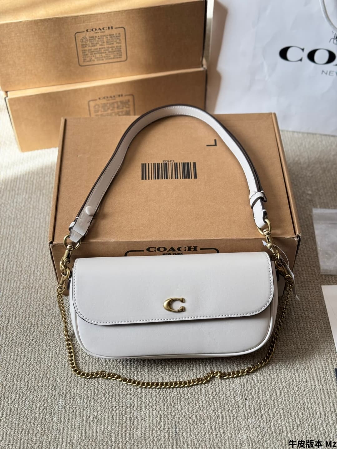 Coach Brook Flap Chain Bag