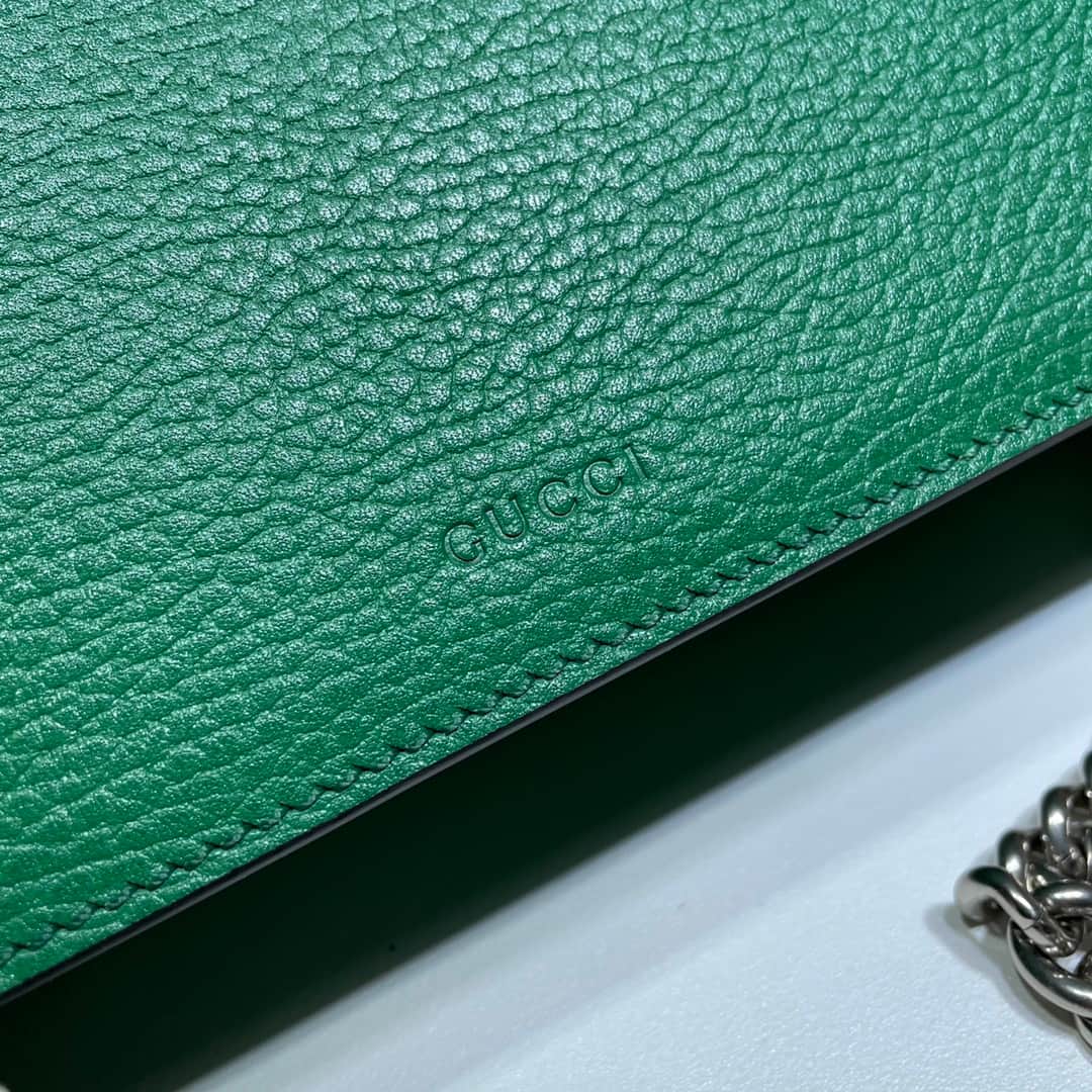 DIONYSUS MEDIUM RECTANGULAR BAG 499623 Leather Green High