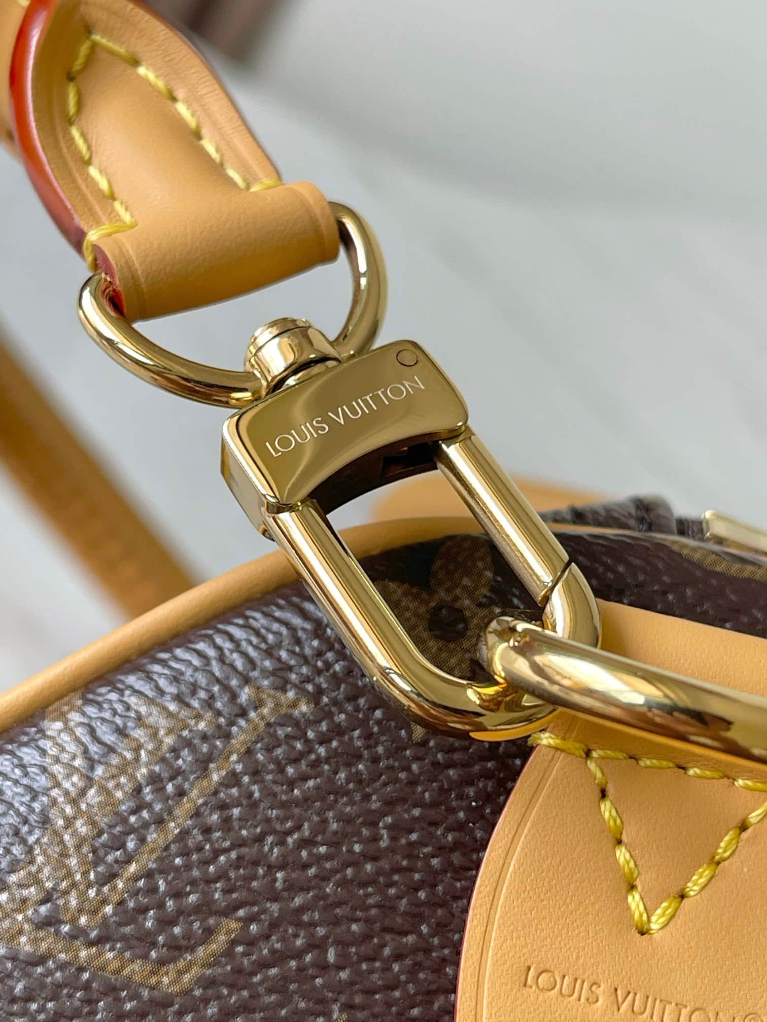 Louis Vuitton Speedy Soft 30 Lucky Coated canvas Monogram/Green M15107 TOP
