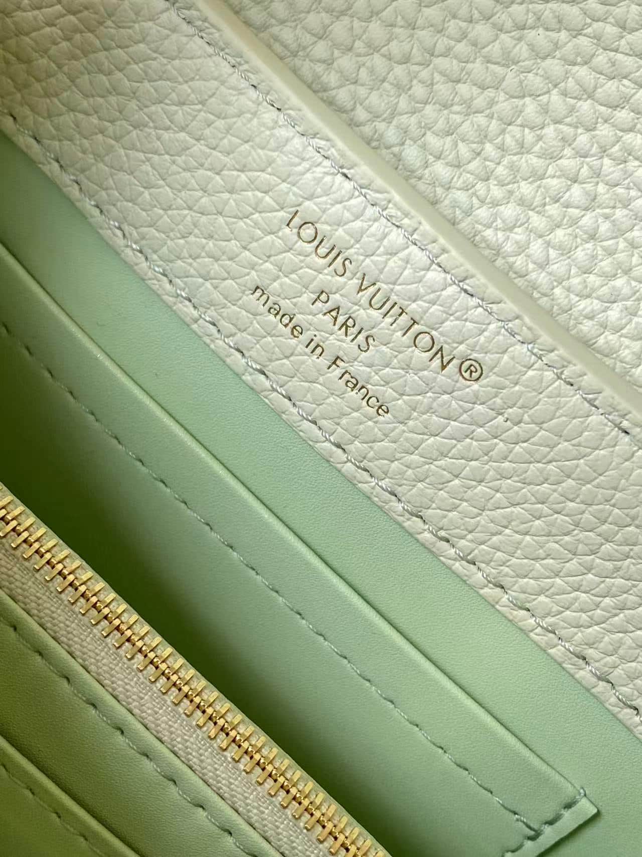 Louis Vuitton Capucines Mini Minty Taurillon leather M29951 TOP