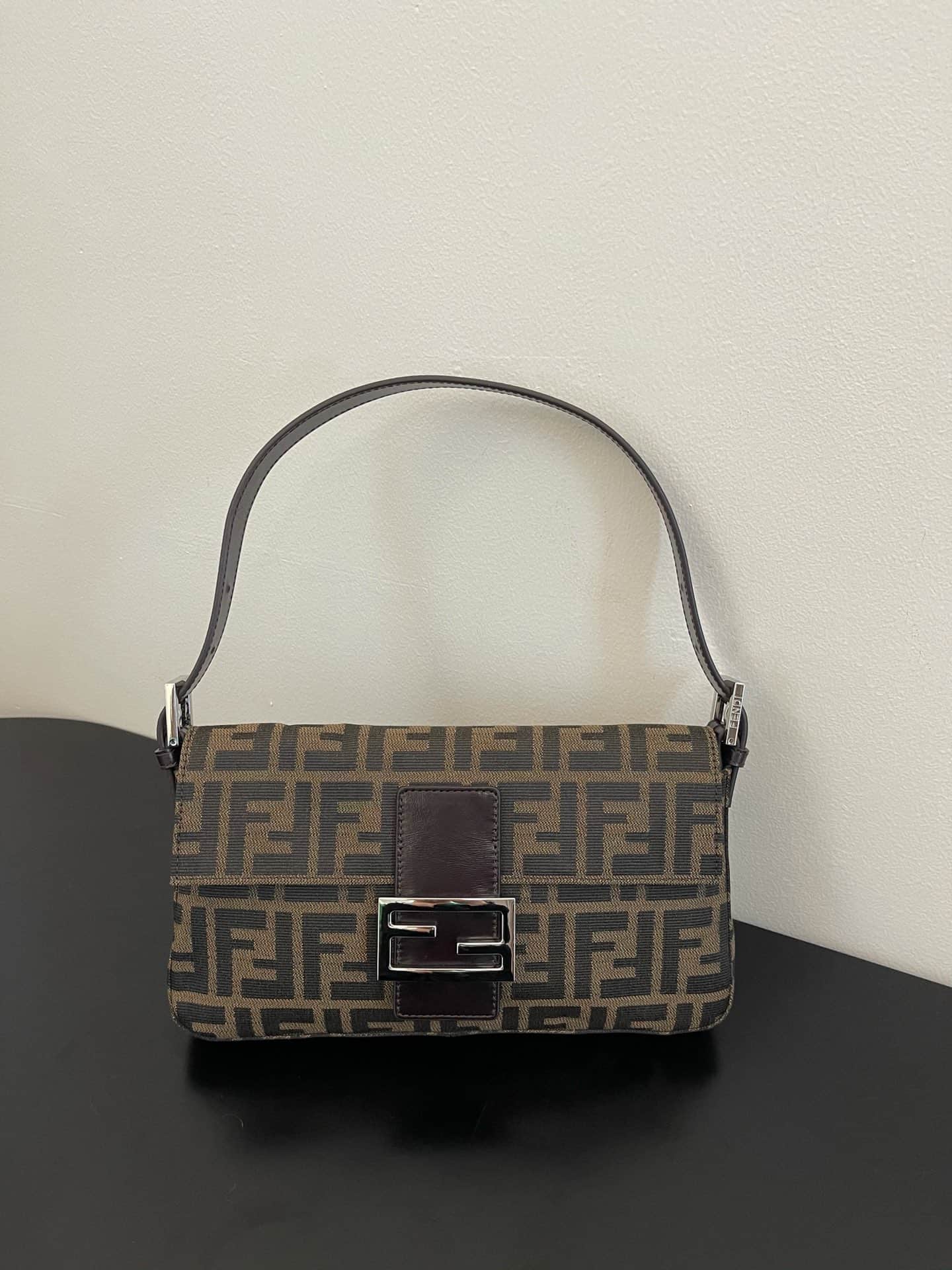 FENDI BAGUETTE fabric bag silver metal Brown High