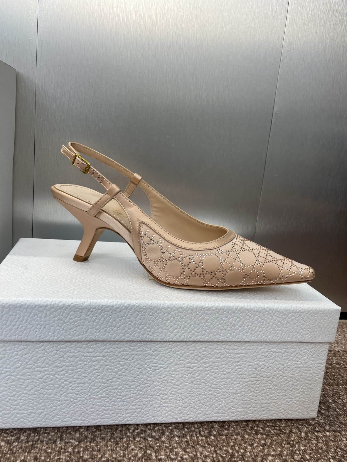 Dior Capture Slingback Pump Shoes Low  Women