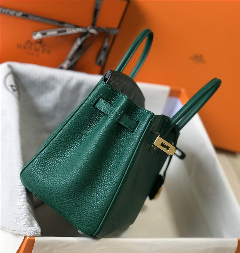 Hermes Birkin 25/30/35cm Bag Calfskin Silver/Gold Metal In  Vert Vertigo High