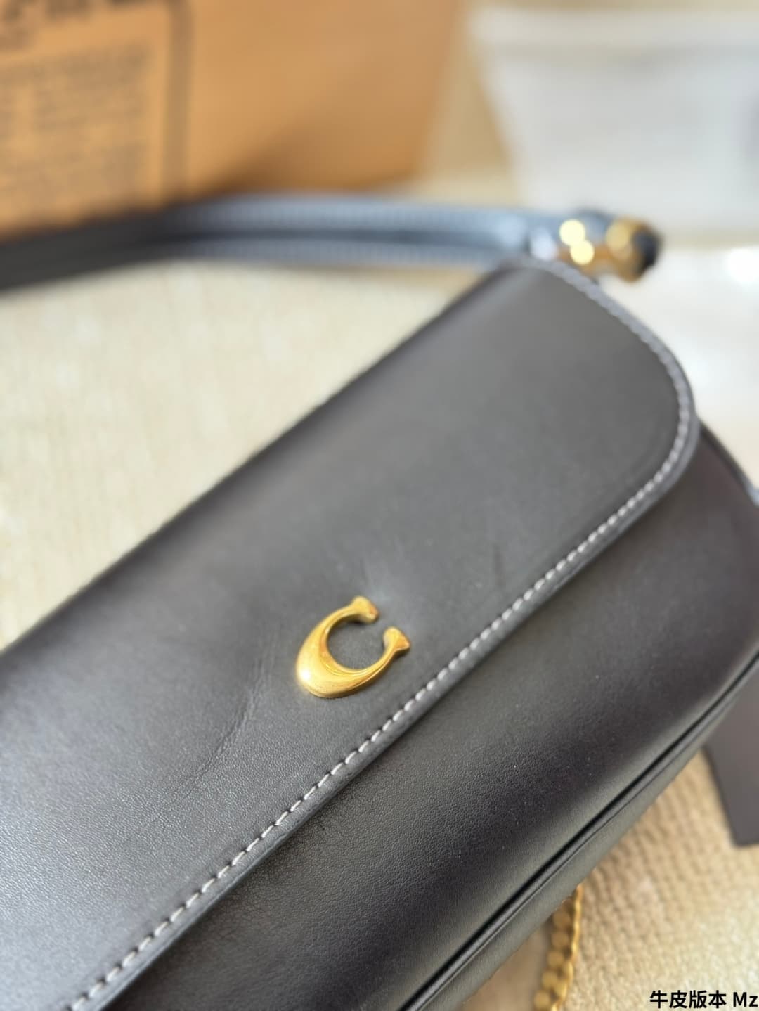 Coach Brook Flap Chain Bag