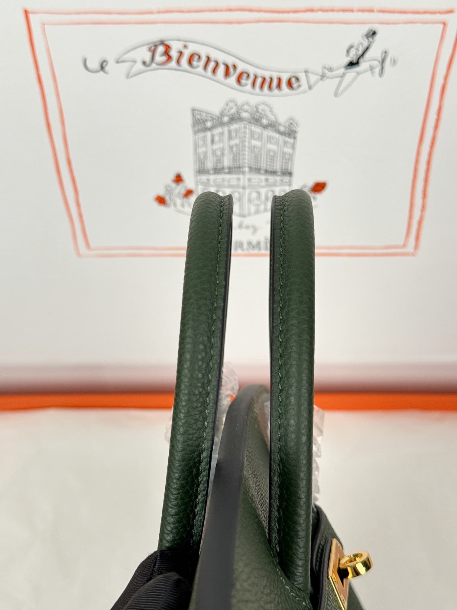 Hermes Birkin 25/30 Bag Togo Calfskin Leather Vert Anglais High