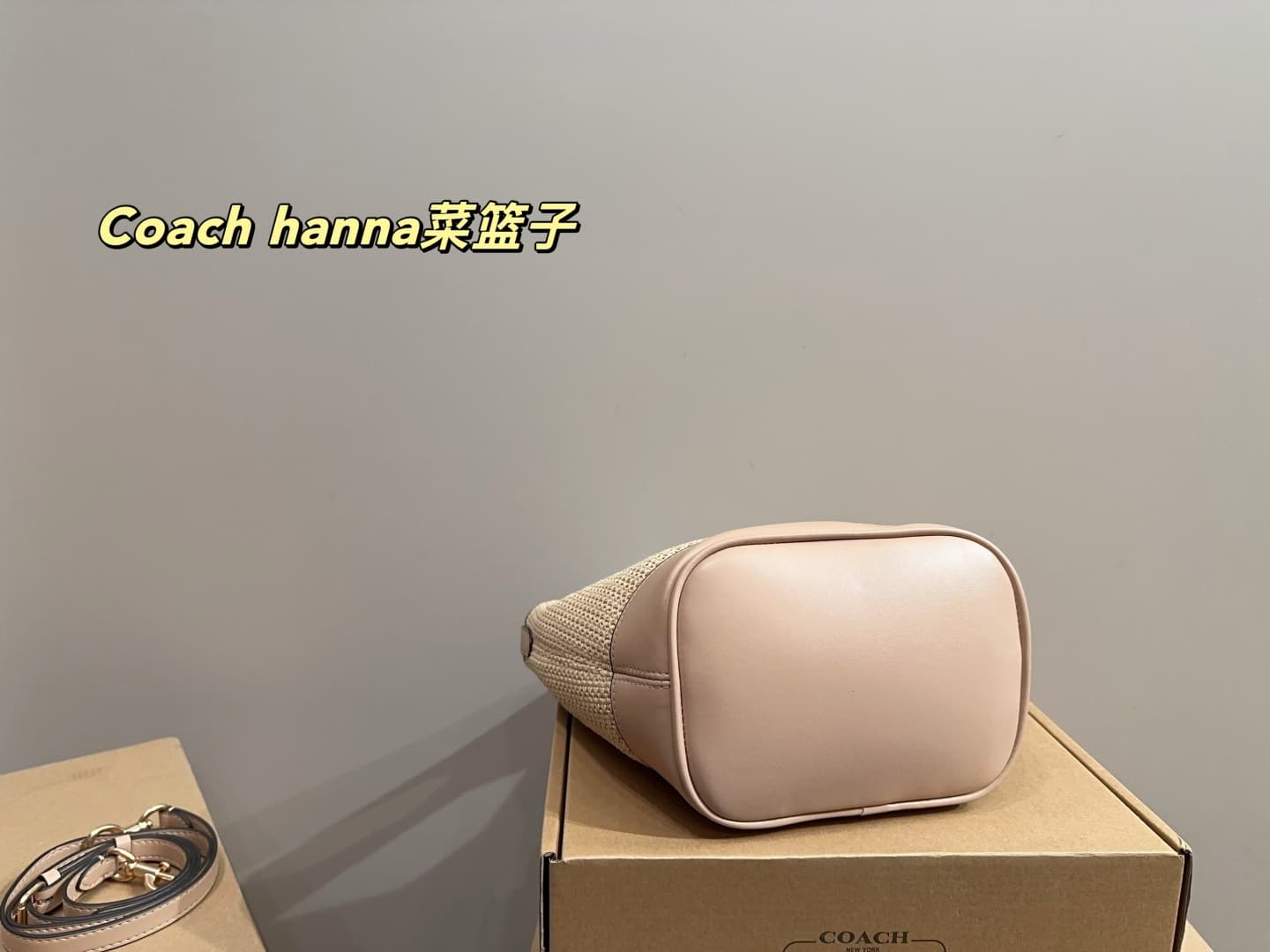 Coach Hanna Bucket Bag