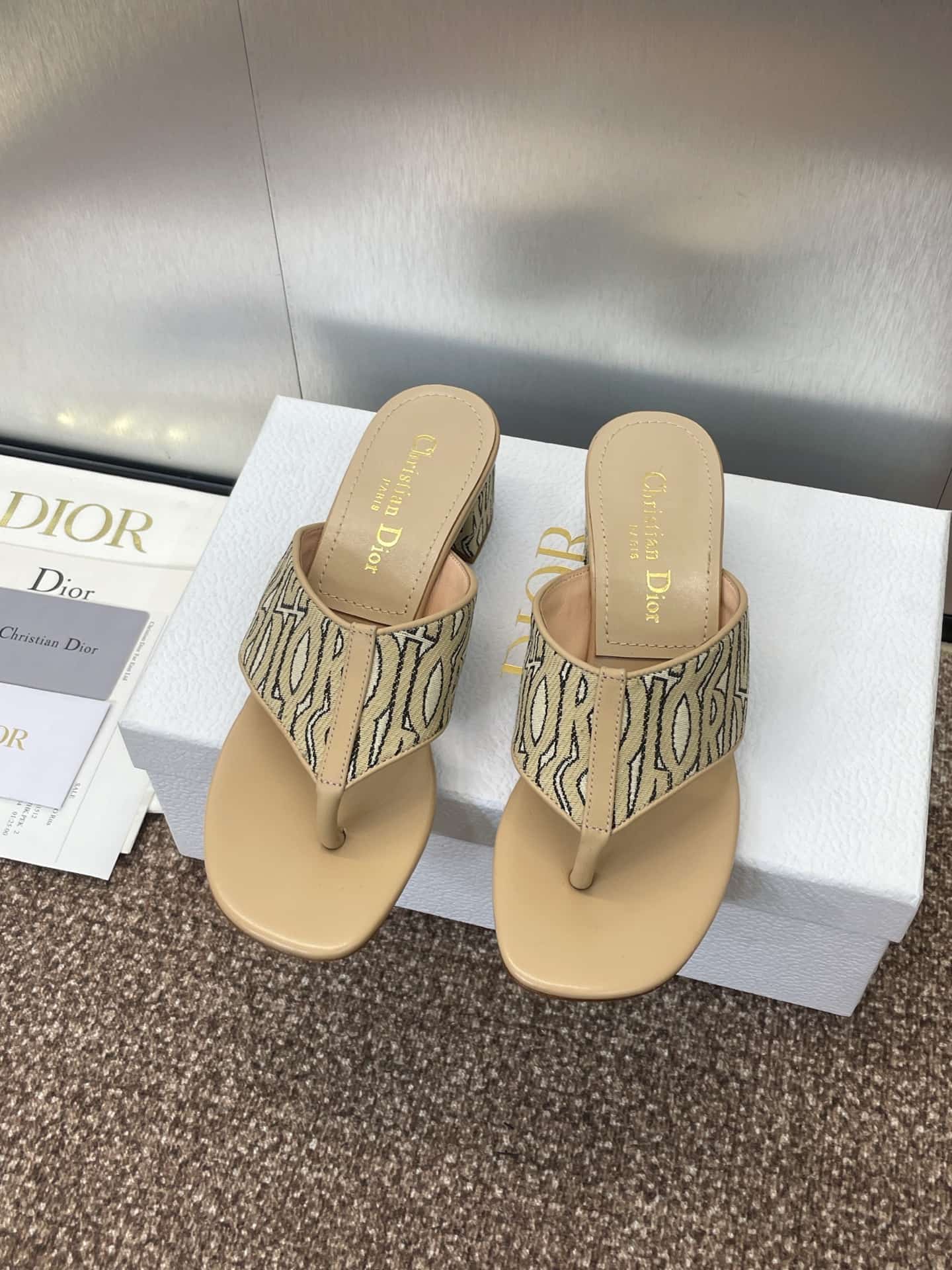 Dior Oblique Alias Flat Sandal Shoes Women