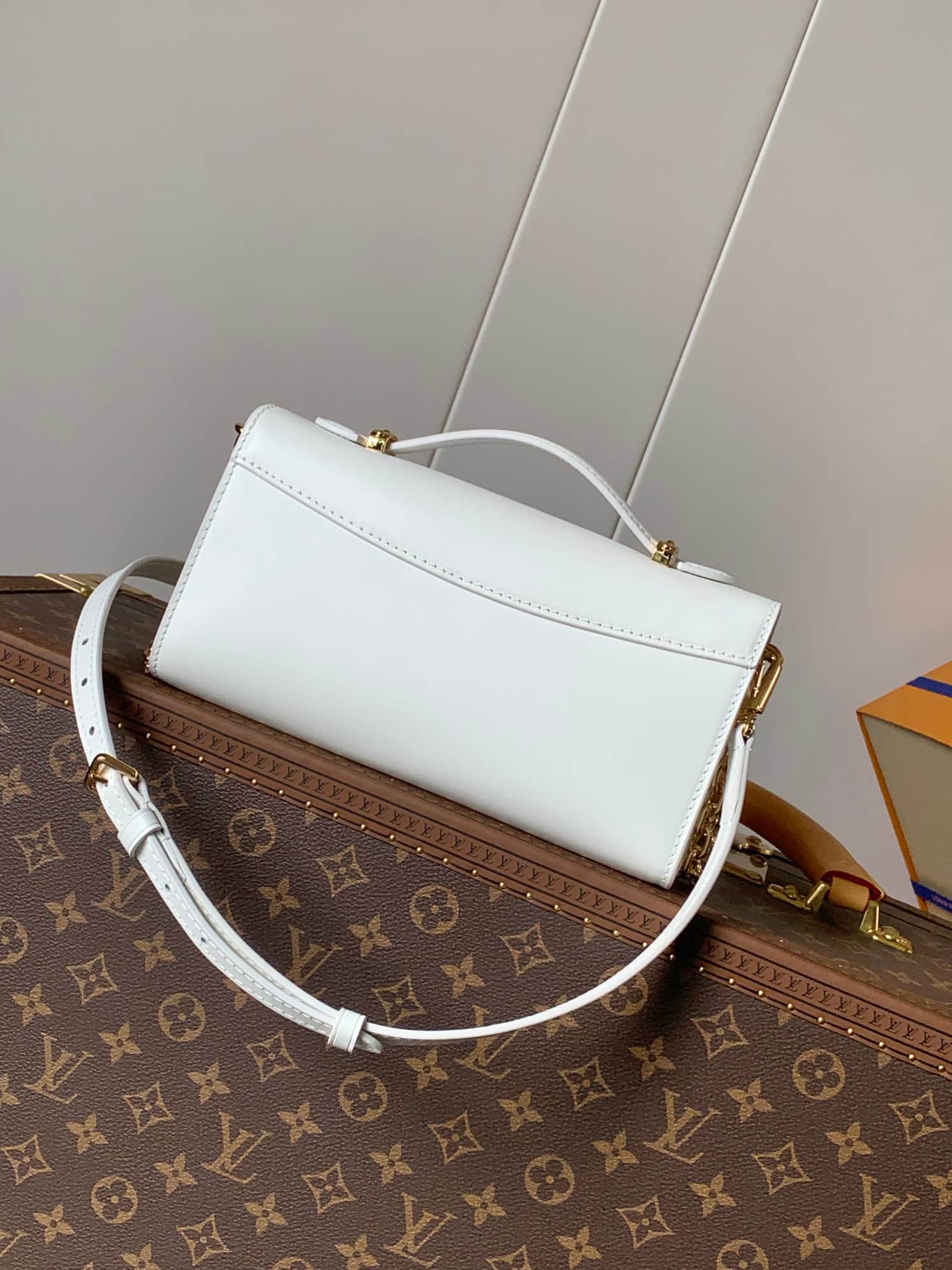 Louis Vuitton Wallet On Chain Capucines Snow Calf leather M12265 High