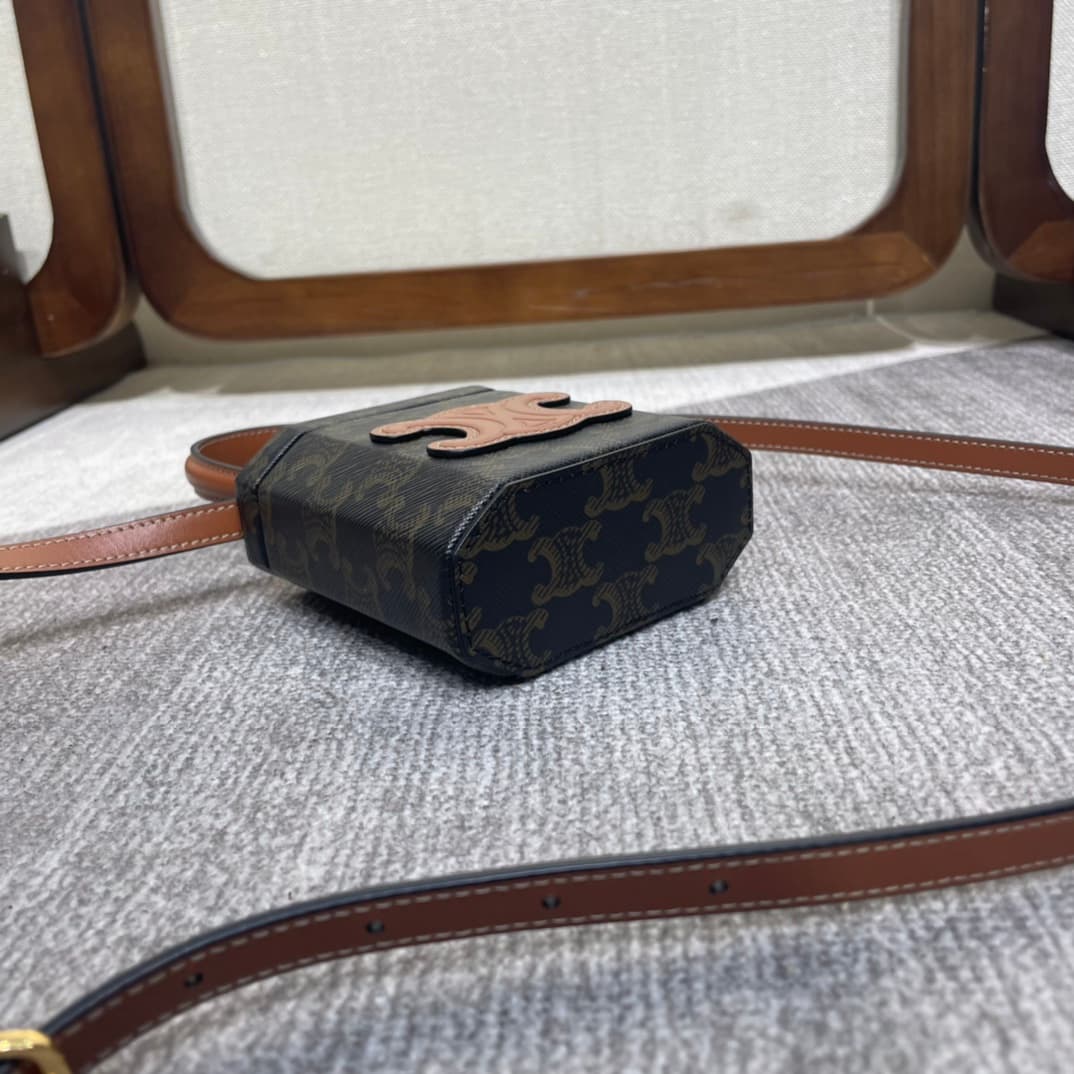 Celine LOCK Cuir Triomphe Box in Canvas and Calfskin High