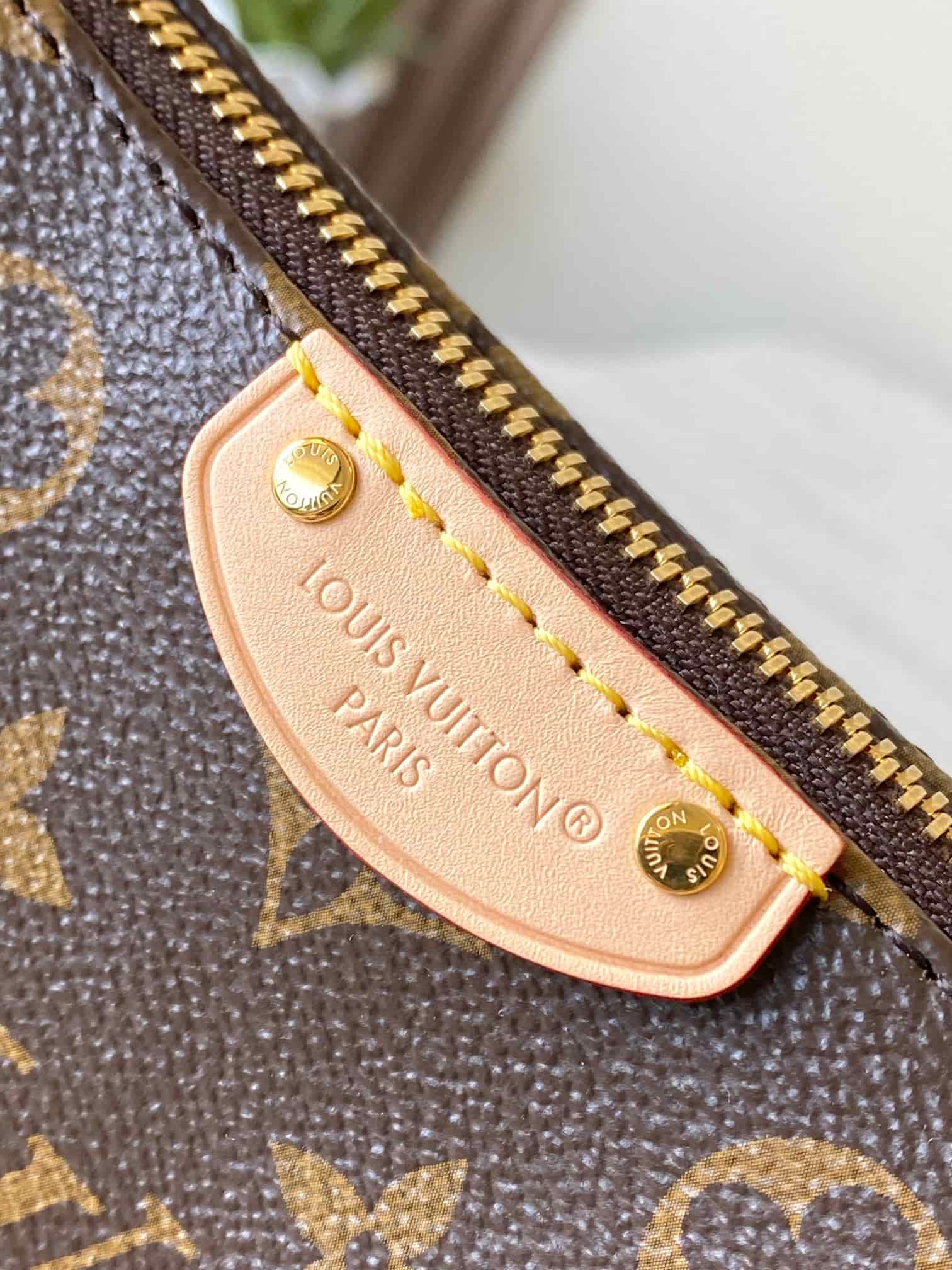 Louis Vuitton Pochette Hills Monogram coated canvas M27509 High