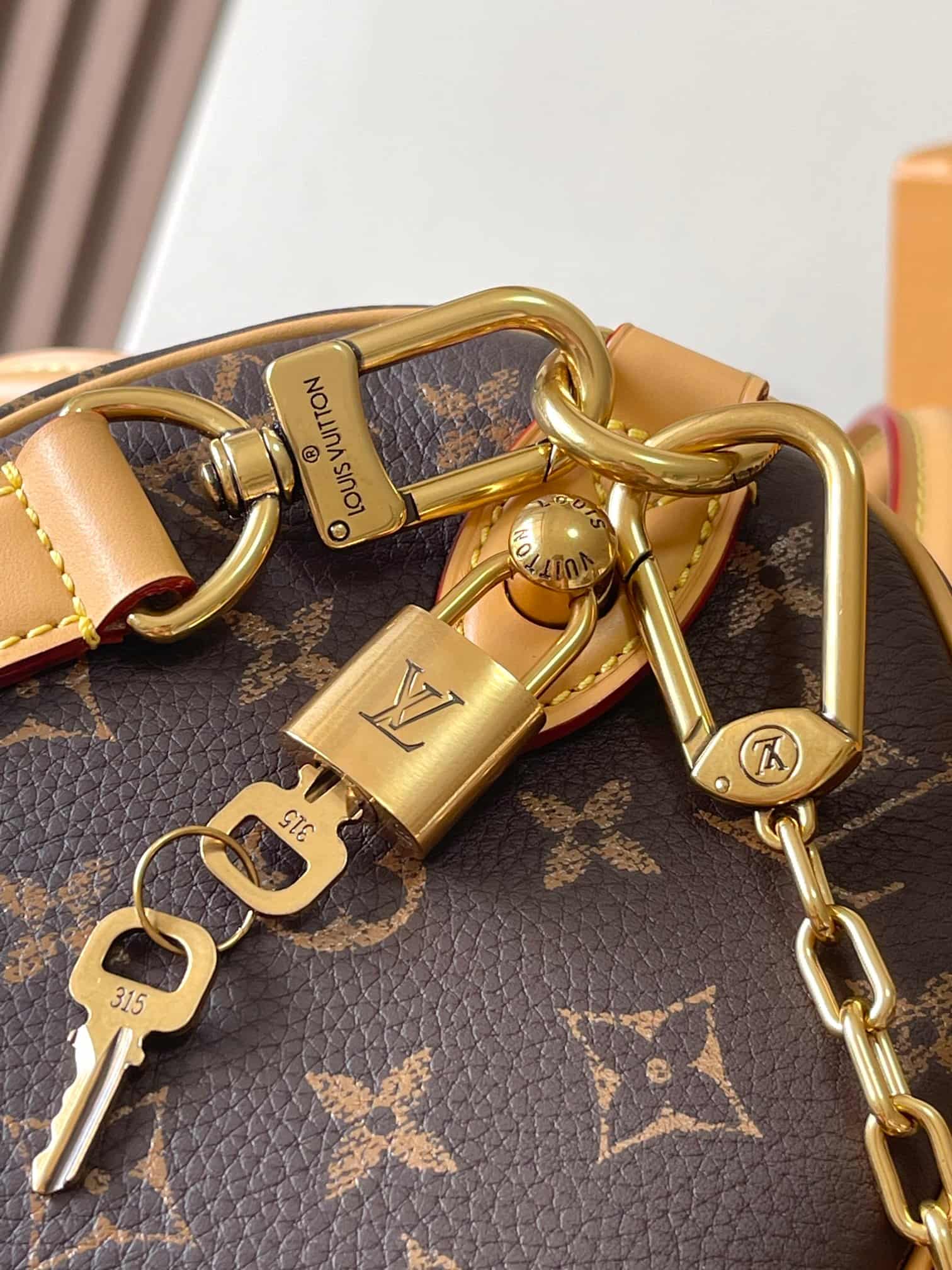 Louis Vuitton Speedy P9 Bandoulière 25 Soft calfskin Monogram Leather M24443 Monogram TOP