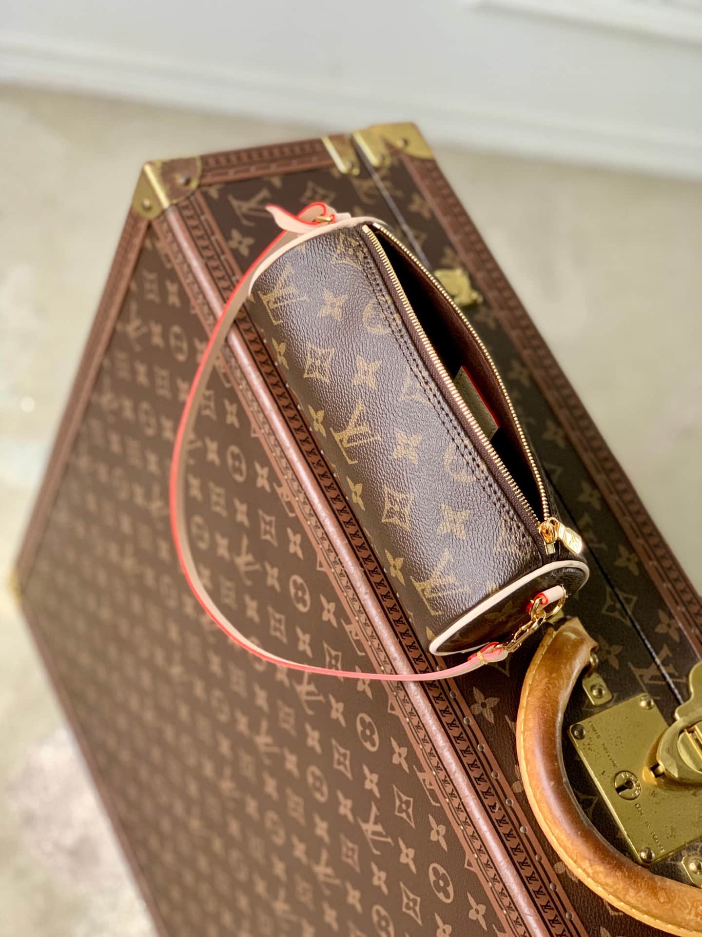 Louis Vuitton Pochette Papillon Monogram coated canvas M25703 High
