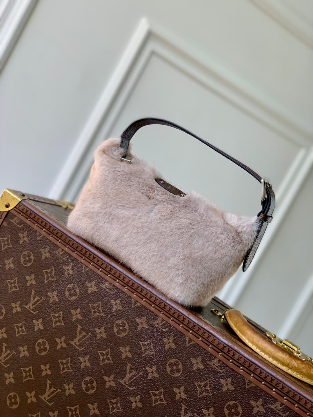 Louis Vuitton Hills Pochette in soft mink fur M15031 High