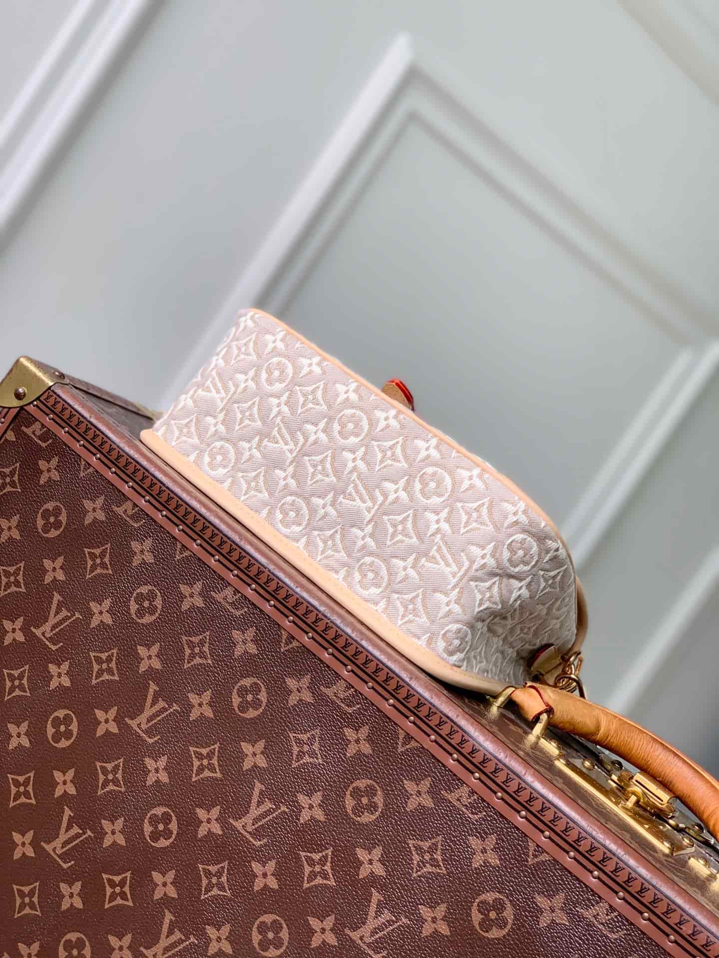 Louis Vuitton Diane PM Monogram Emblème Peuplier M29795 High