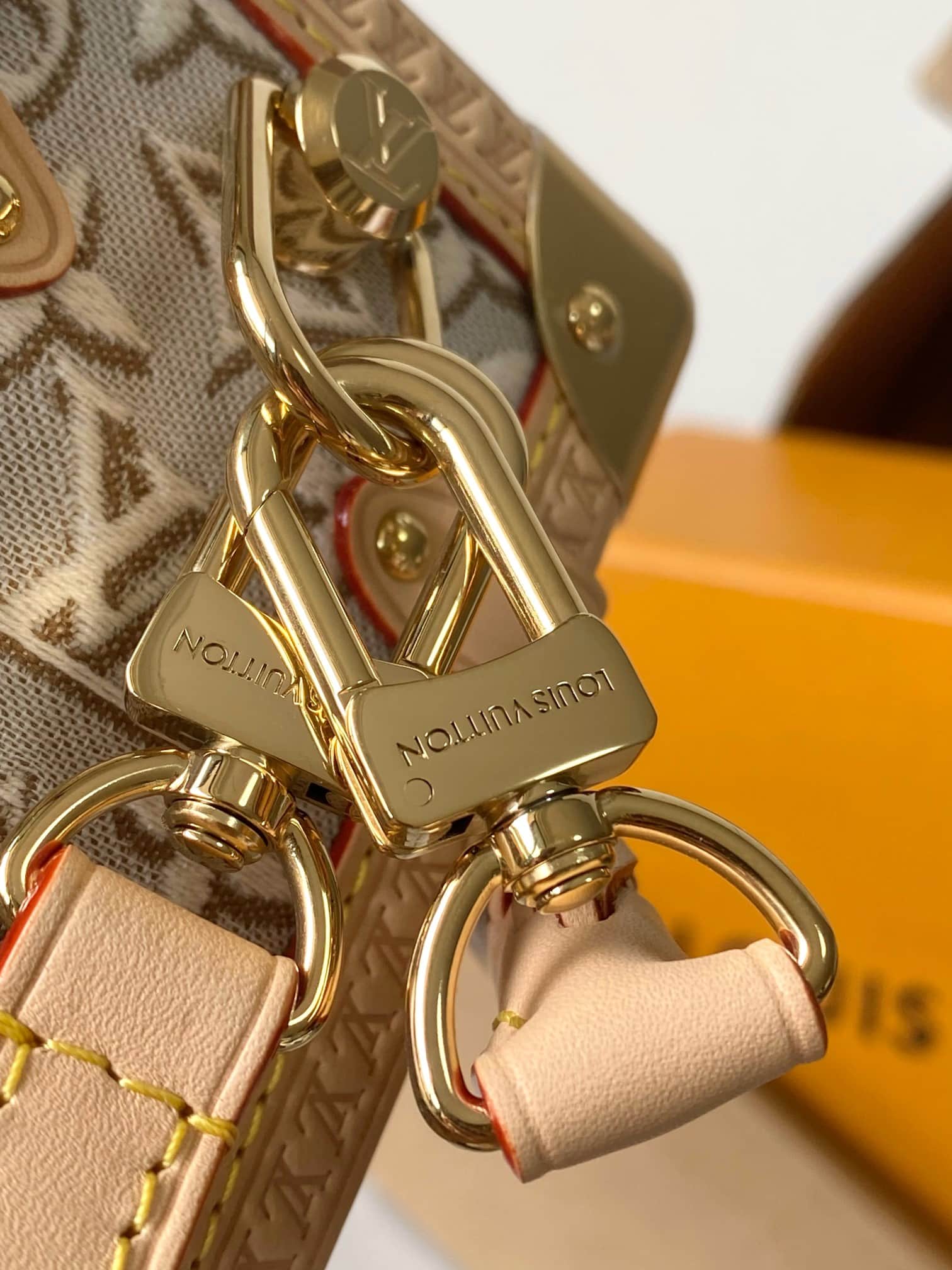 Louis Vuitton Side Trunk MM Monogram Emblème Peuplier M2A145 TOP