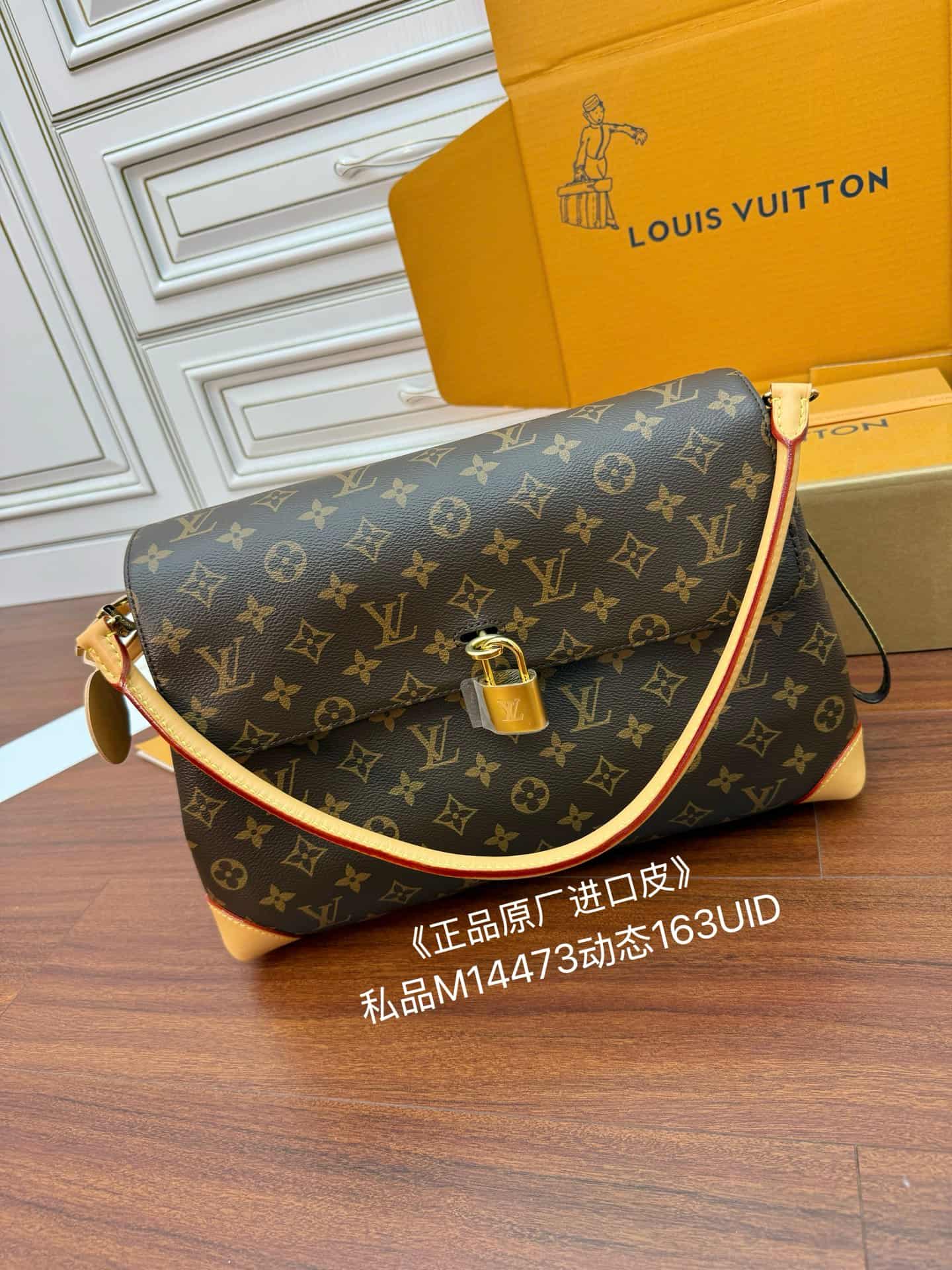 Louis Vuitton Hide Away MM Monogram Coated canvas M14473 TOP