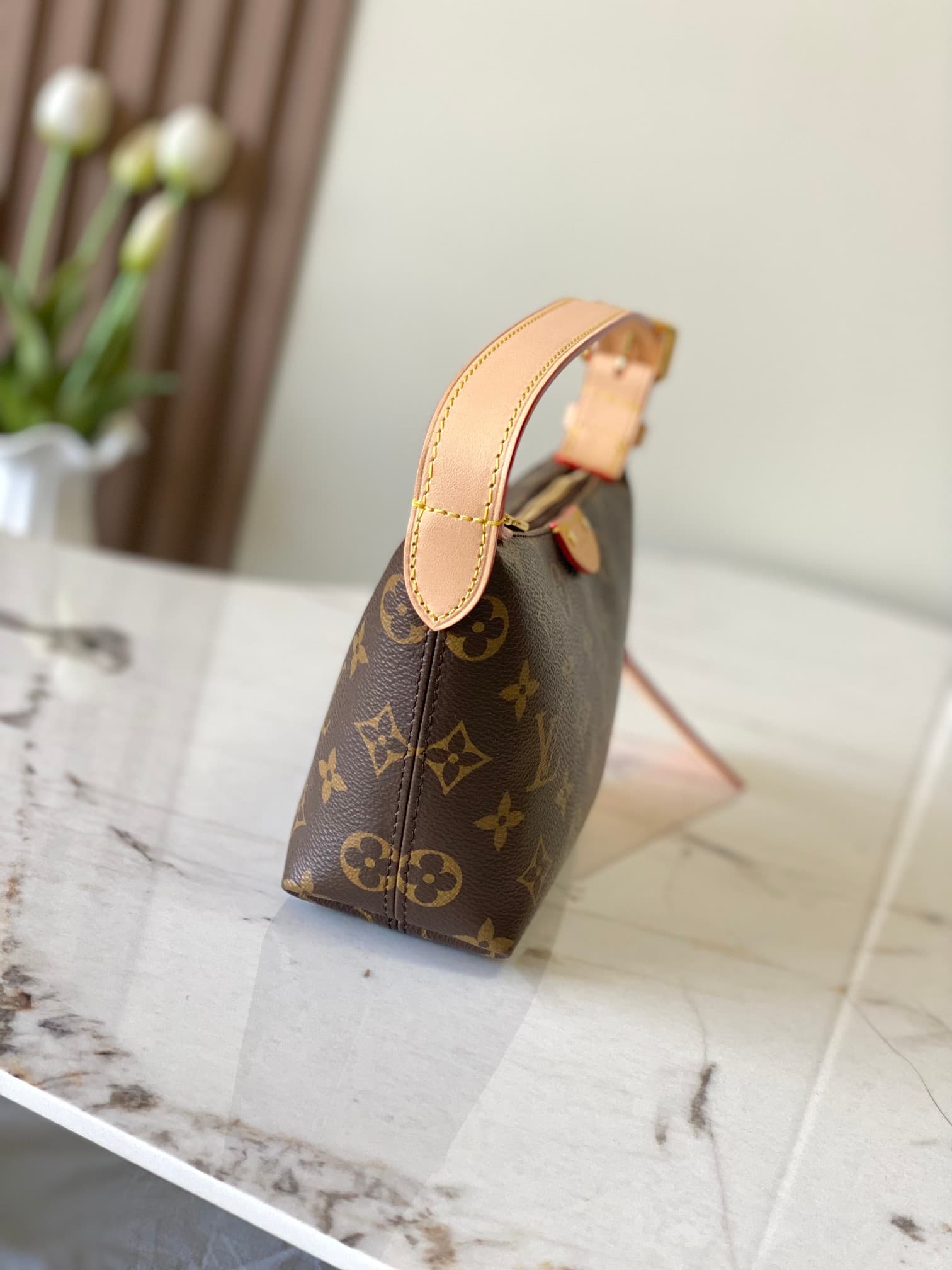 Louis Vuitton Pochette Hills Monogram coated canvas M27509 High
