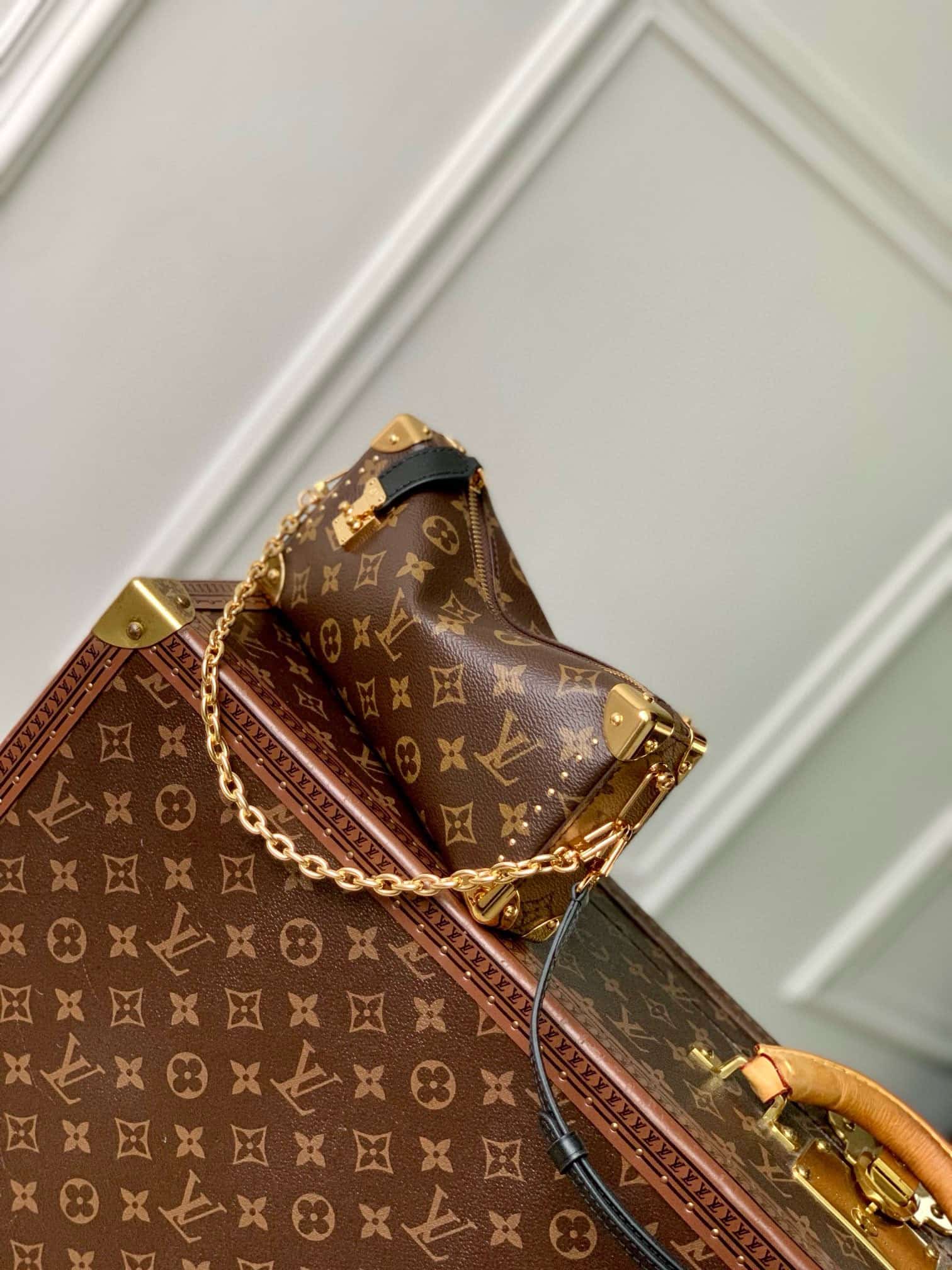 Louis Vuitton Slim Trunk Coated canvas M13147 High