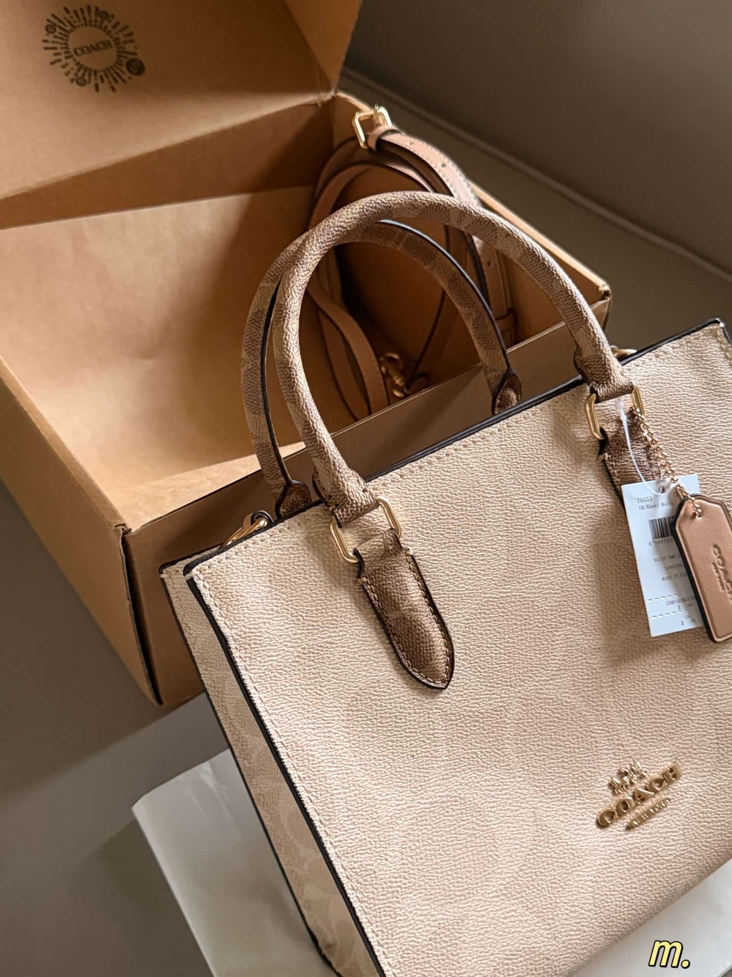 Coach Maggie Small Tote Bag Signature Canvas High