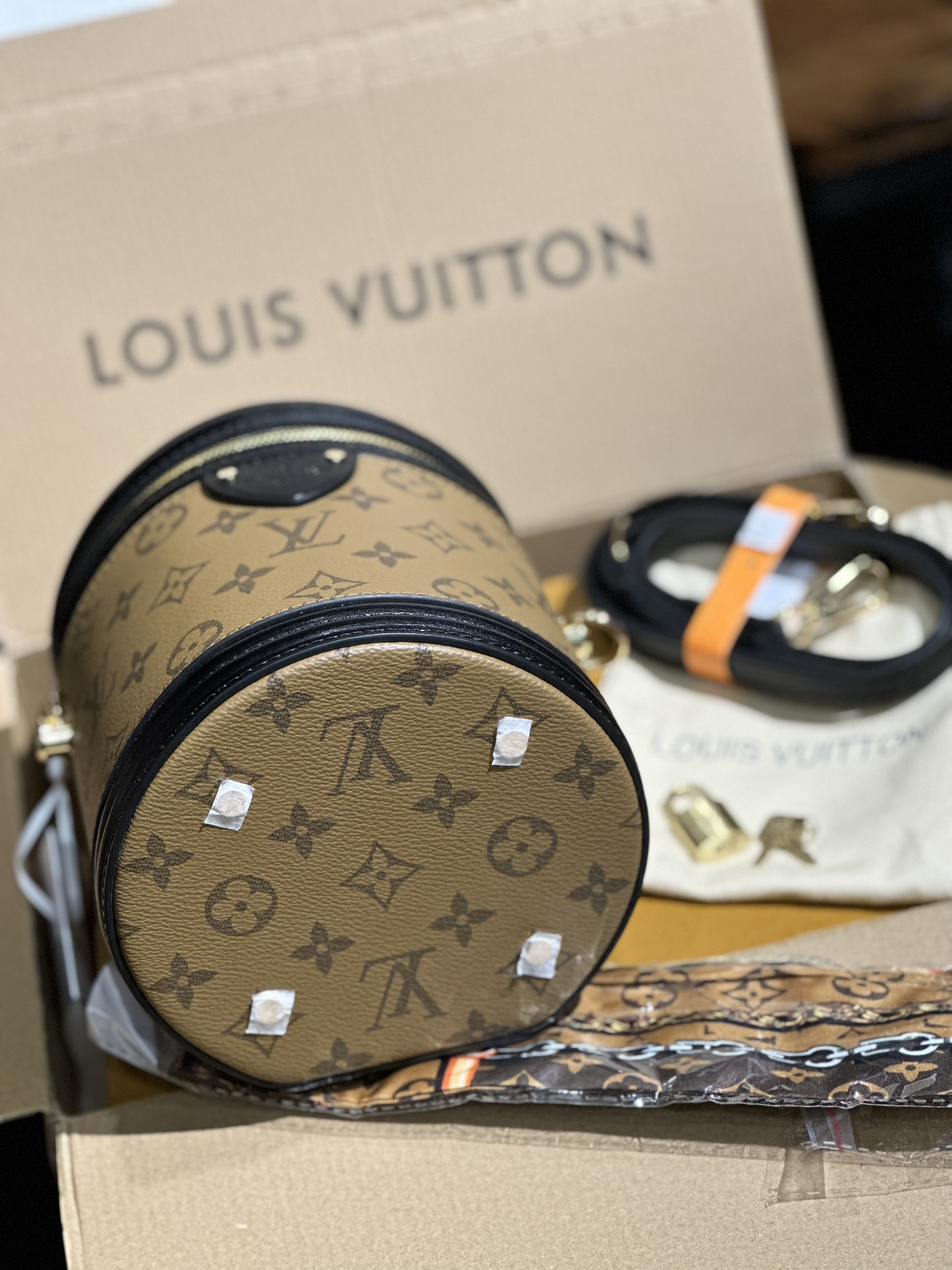 Louis Vuitton Cannes Monogram and Monogram Reverse coated canvas M43986 High