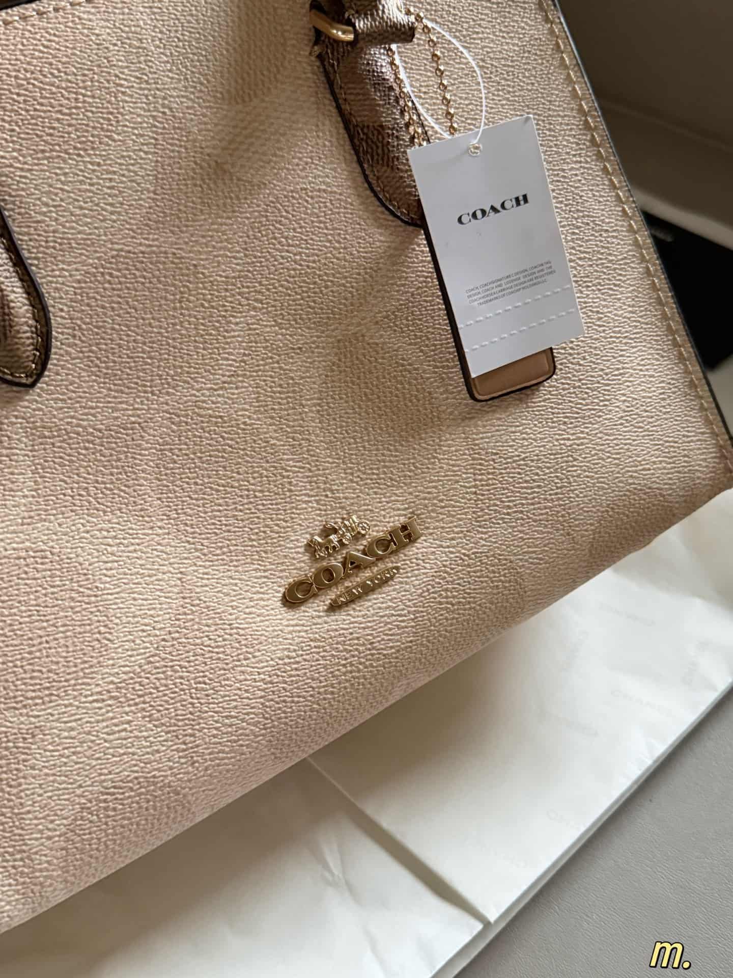 Coach Maggie Small Tote Bag Signature Canvas High