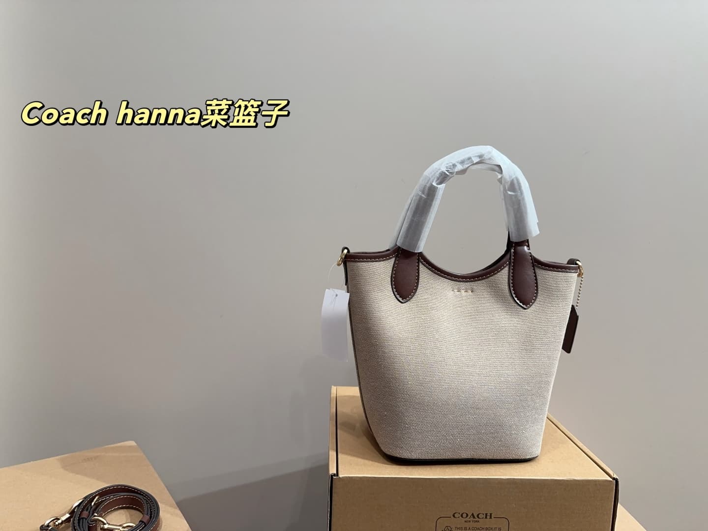 Coach Hanna Bucket Bag