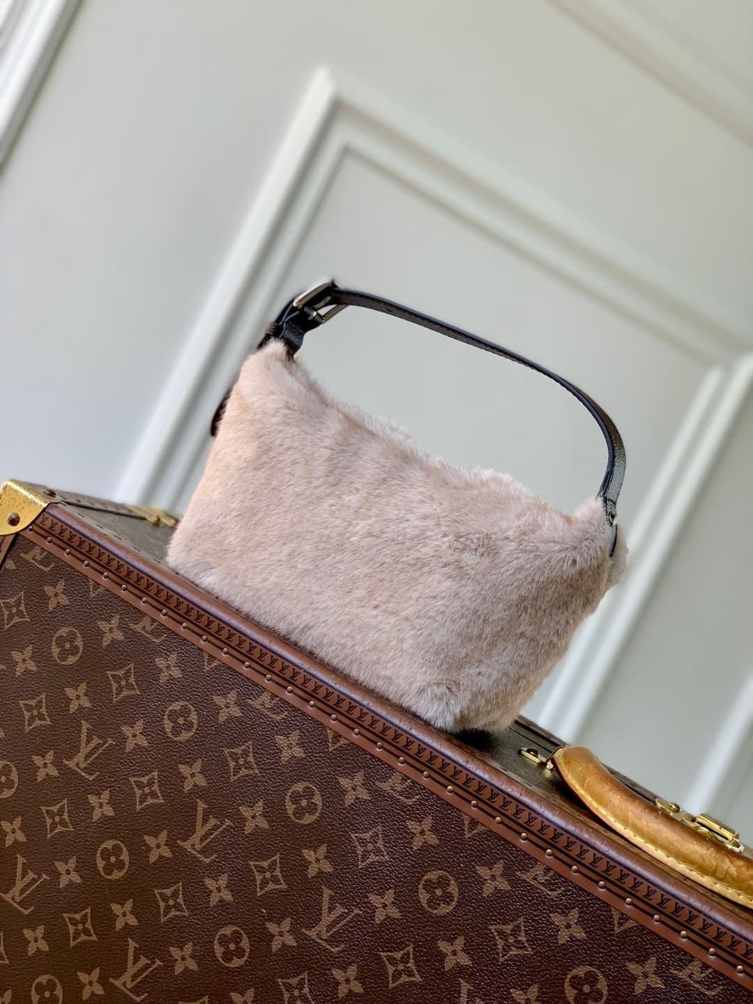 Louis Vuitton Hills Pochette in soft mink fur M15031 High