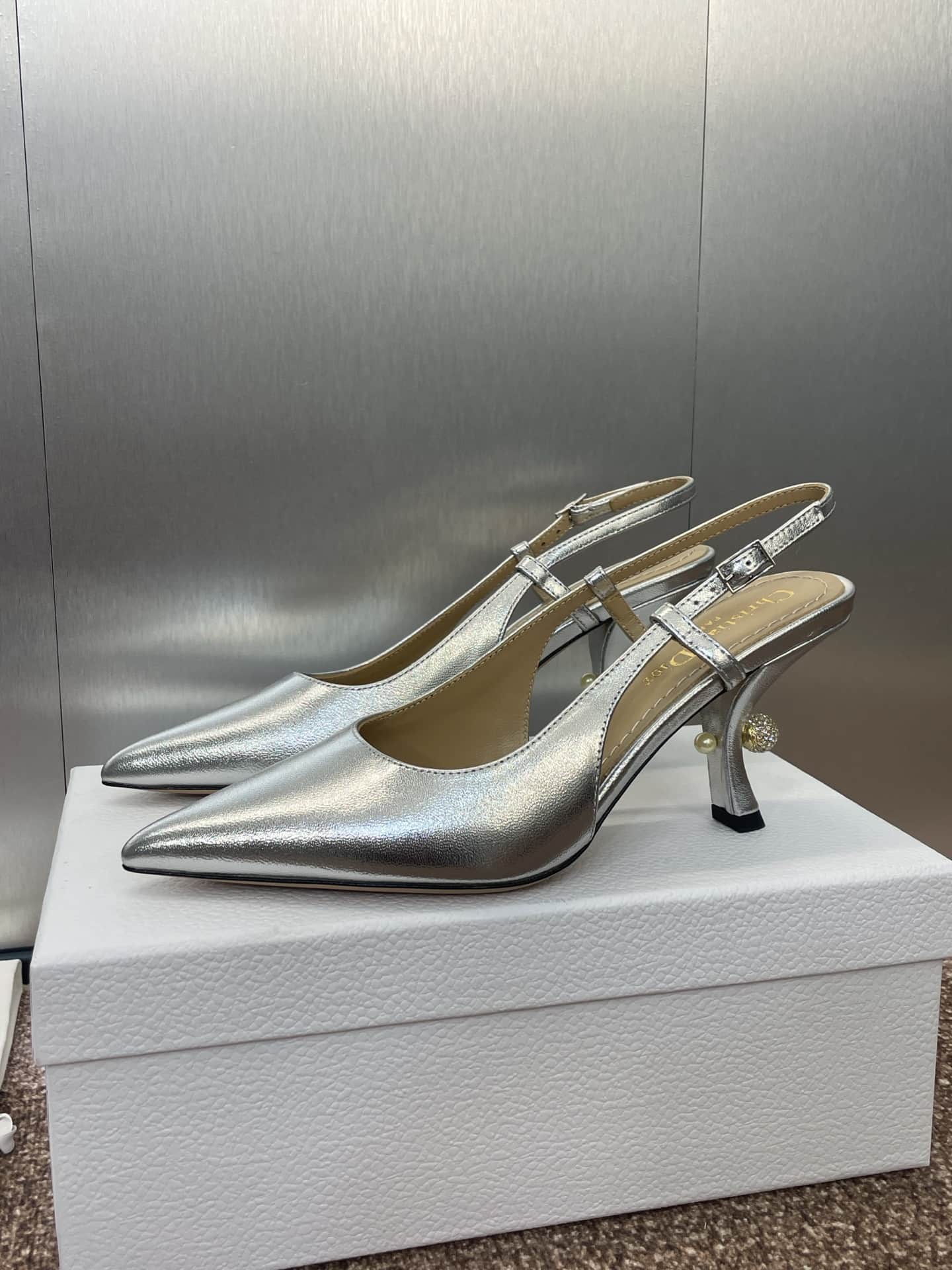 Dior Tribales Slingback Pump Shoes Women