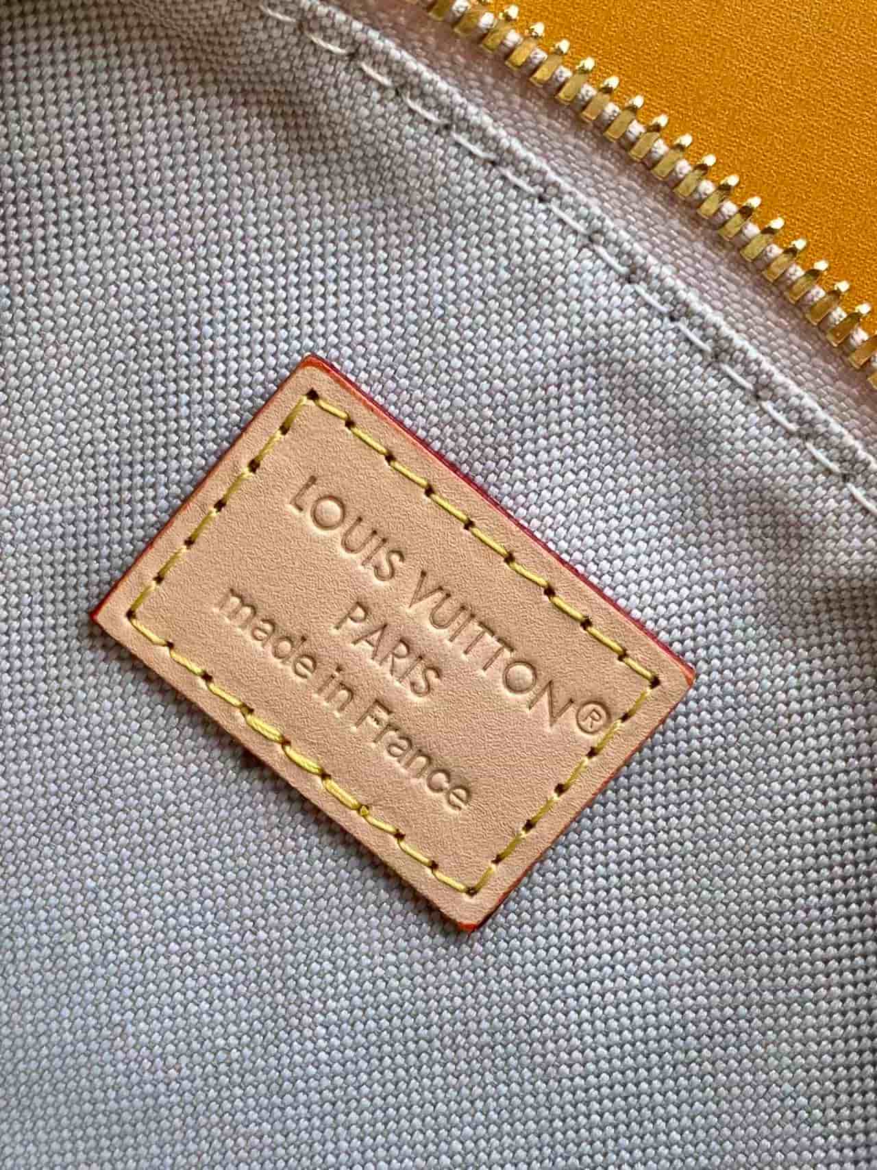 Louis Vuitton Pochette Hills Monogram Emblème Peuplier M29879 High