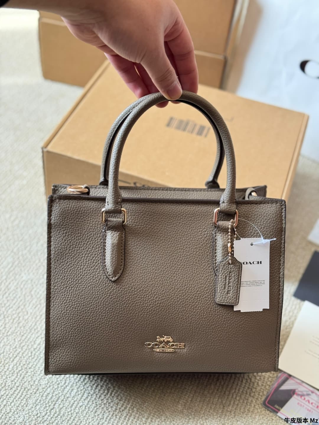 Coach Maggie Small Tote Bag