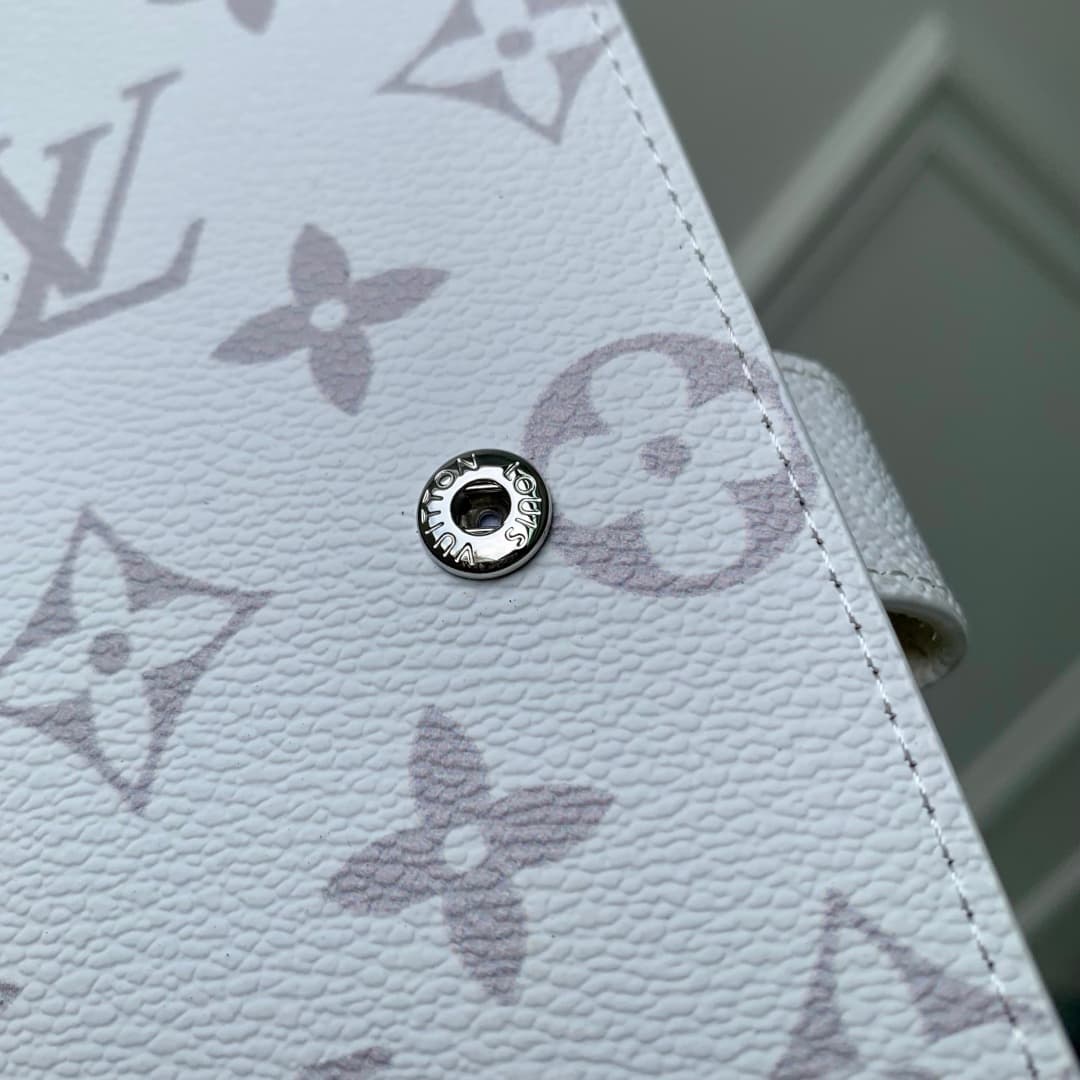 Louis Vuitton Small Ring Agenda Cover Monogram canvas R20005 High