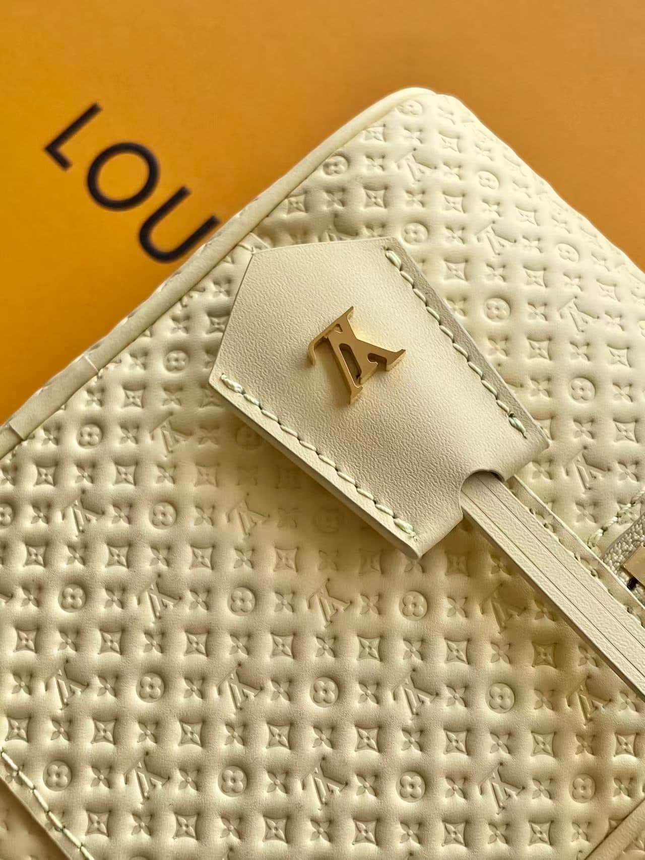 Louis Vuitton Vanity Chain Pouch Banana Calfskin leather M29051 High
