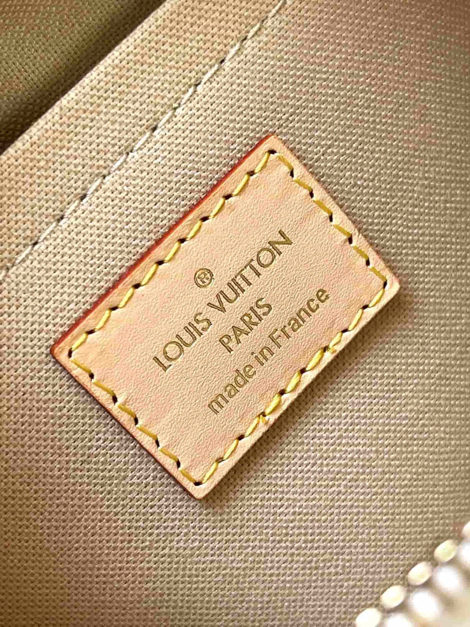 Louis Vuitton Speedy Bandoulière 20 Mastic Cream Polyamide M12747 TOP