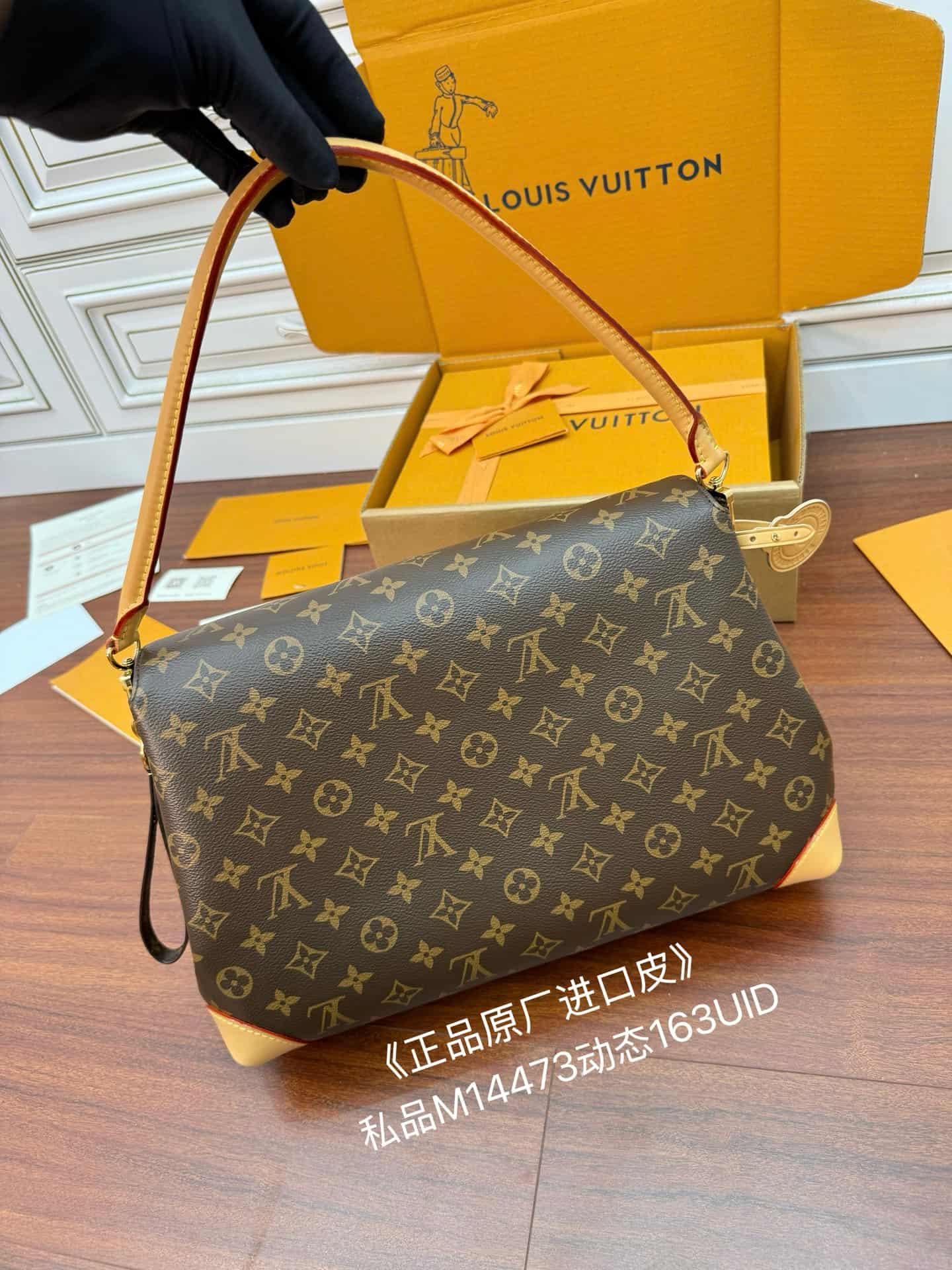 Louis Vuitton Hide Away MM Monogram Coated canvas M14473 TOP