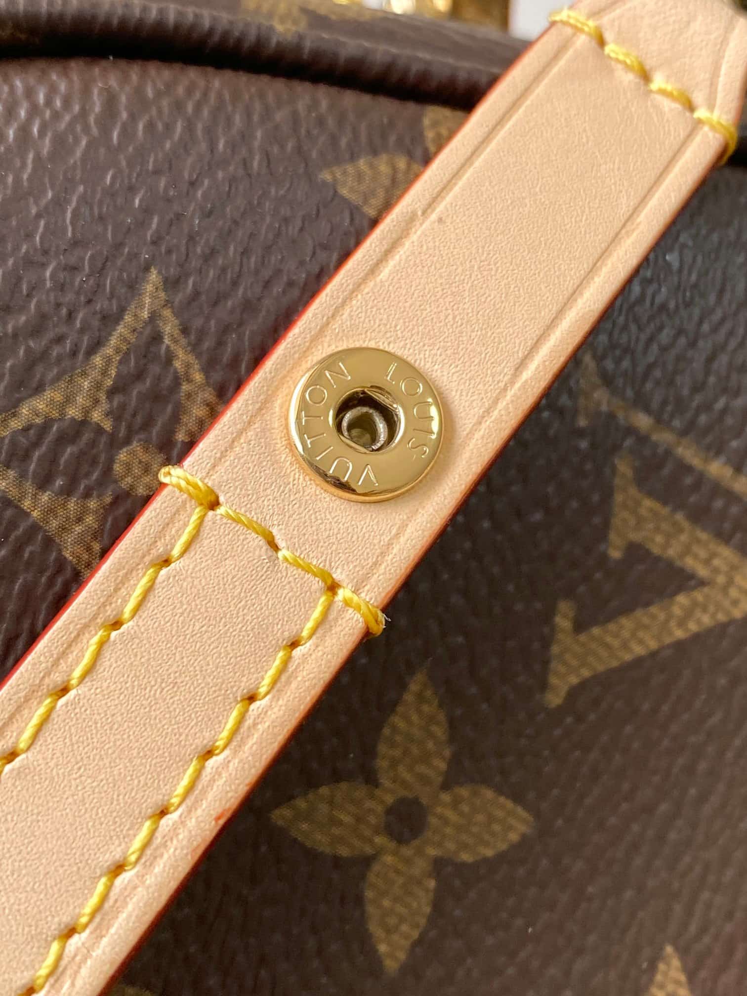 Louis Vuitton Travels With Grace Coddington Wallet On Chain Ivy M15148 TOP