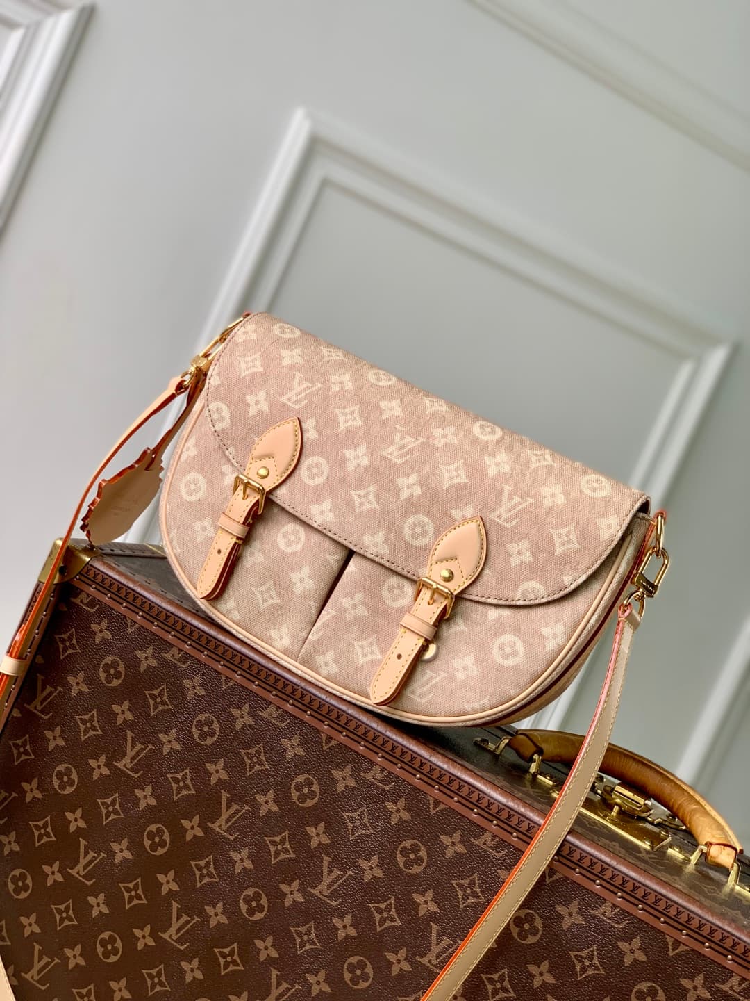 Louis Vuitton Escape Meowgram coated canvas M15134 High