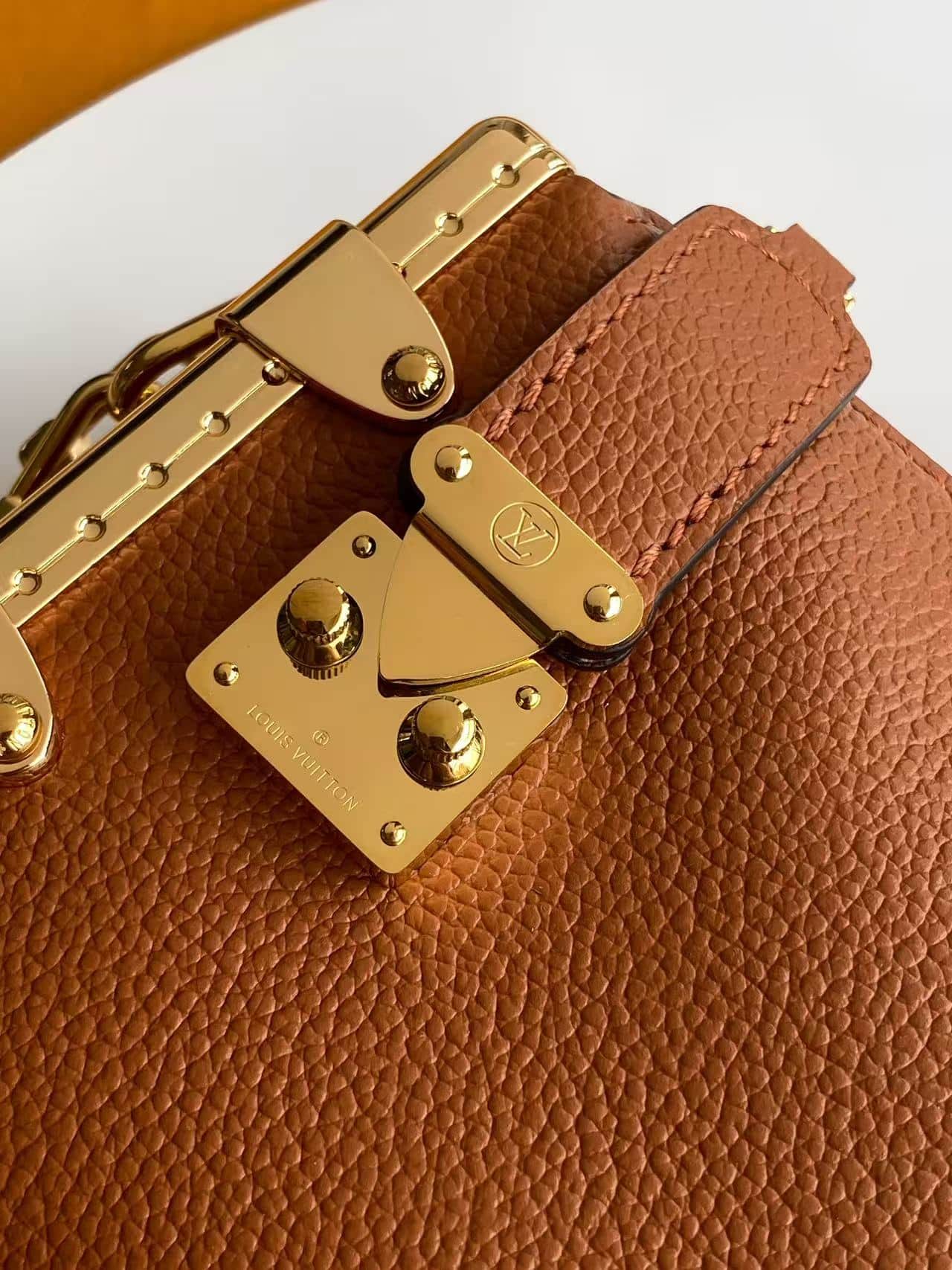Louis Vuitton Slim Trunk Brown Calf leather M29088 High