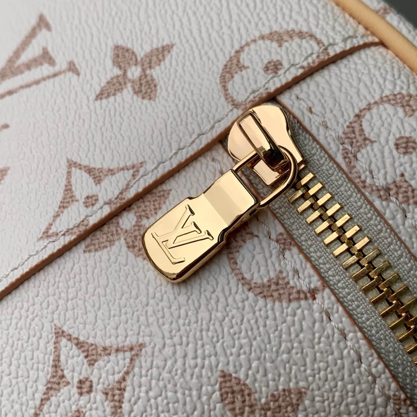 Louis Vuitton Vanity Chain Pouch Monogram Dune Coated canvas M29782 High