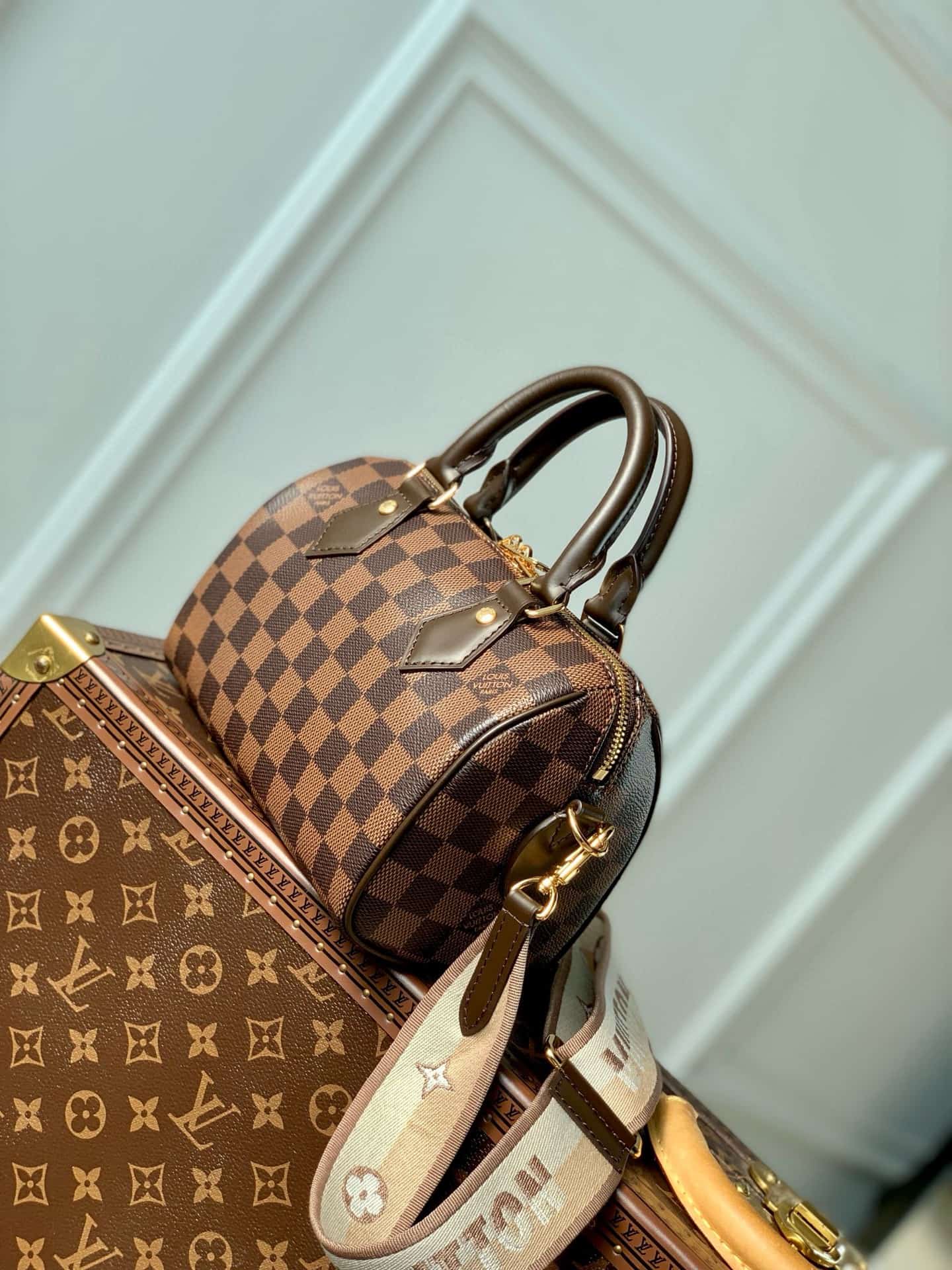 Louis Vuitton Speedy Bandoulière 20 Damier Ebene coated canvas / Cowhide leather N40489 High