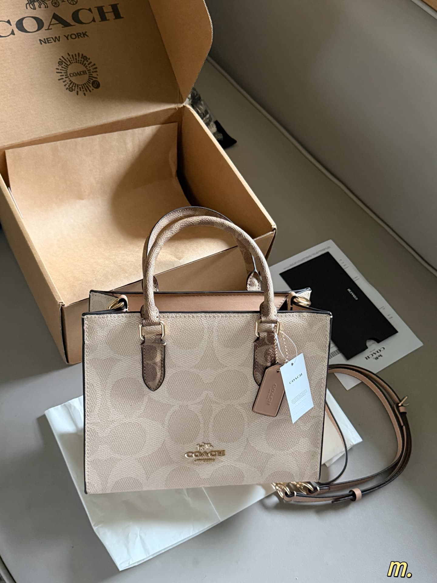 Coach Maggie Small Tote Bag Signature Canvas High