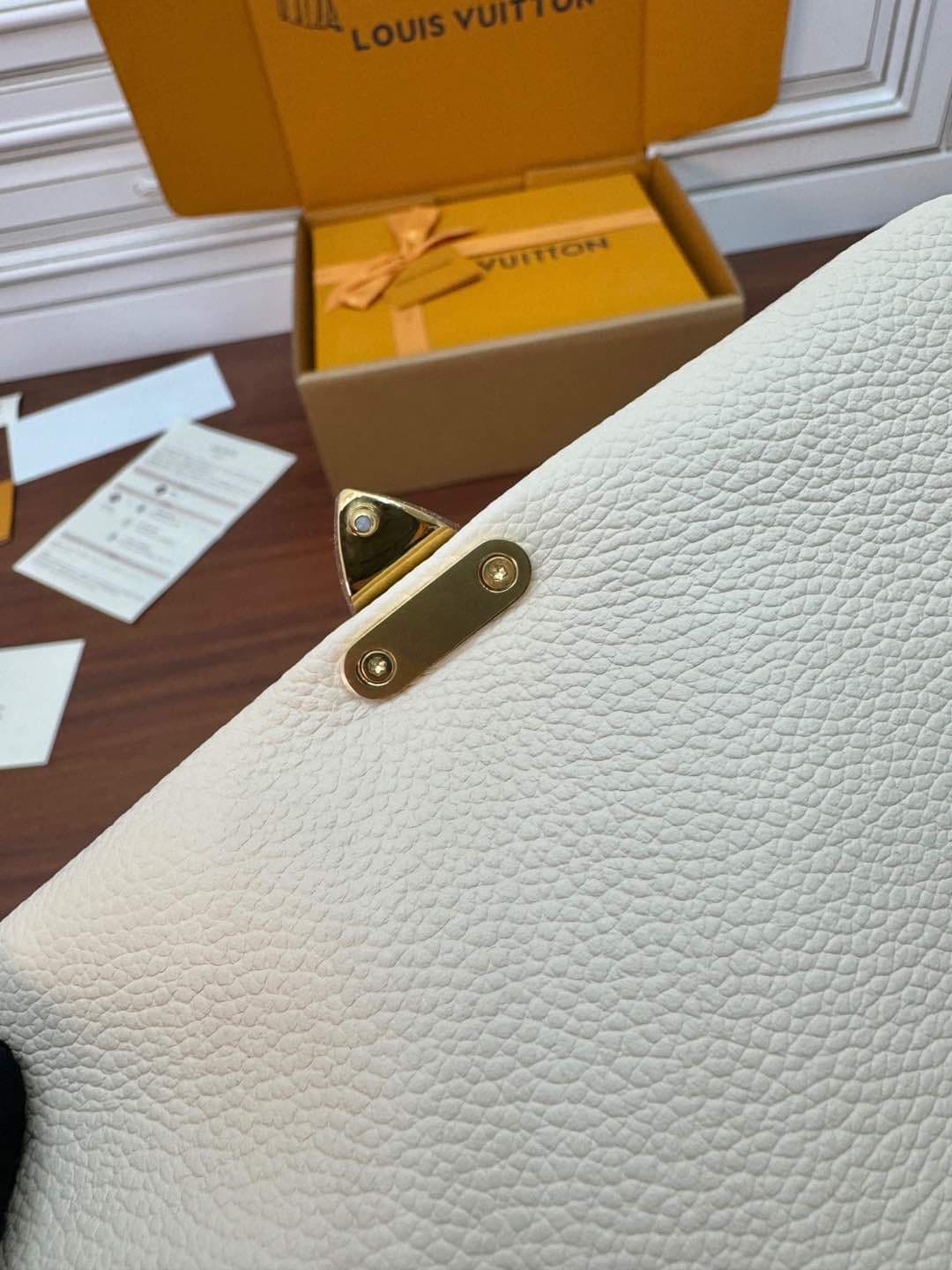 Louis Vuitton Madeleine Nano Embossed, grained cowhide leather M12145 Top